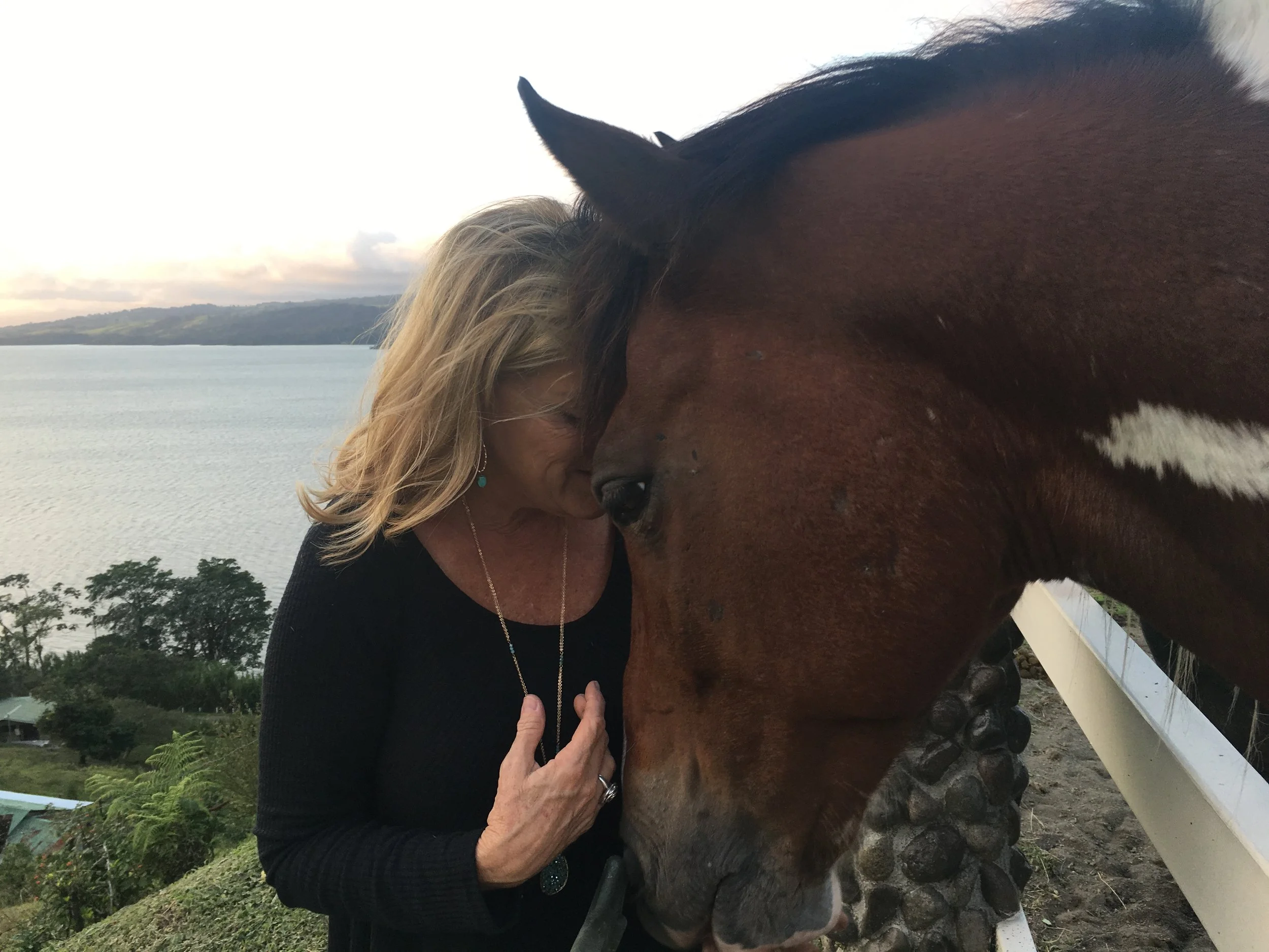Retrieving My Runaway Horse