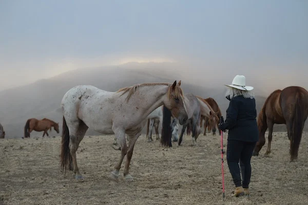 Carolyn at SLO with Horse Beautiful.jpg