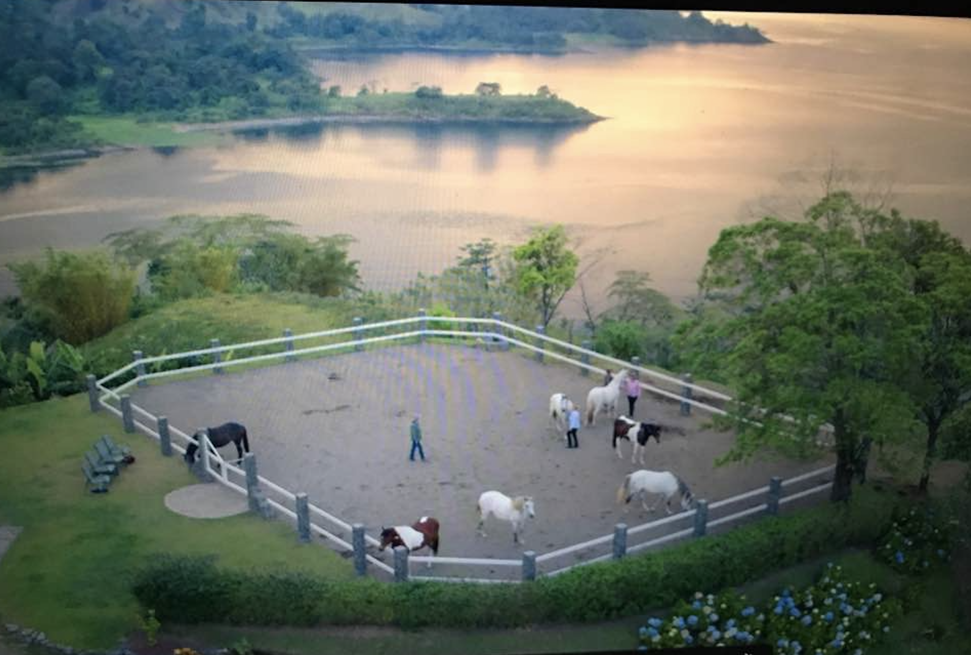 Beauty surrounds us, amidst the Tropical Rainforest, at Dances With Horses, Costa Rica location