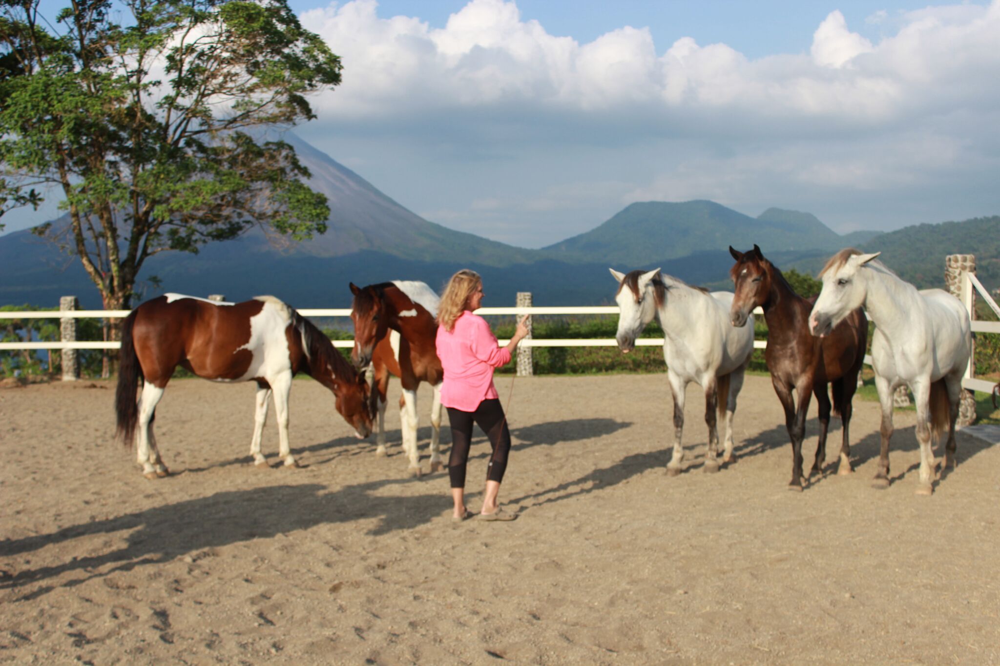 Nan and Herd 7.jpg