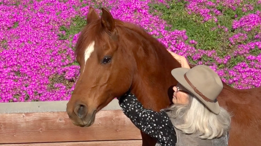 Carolyn Resnick and Firelight
