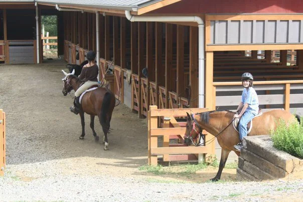 HICKORY NUTS STABLE