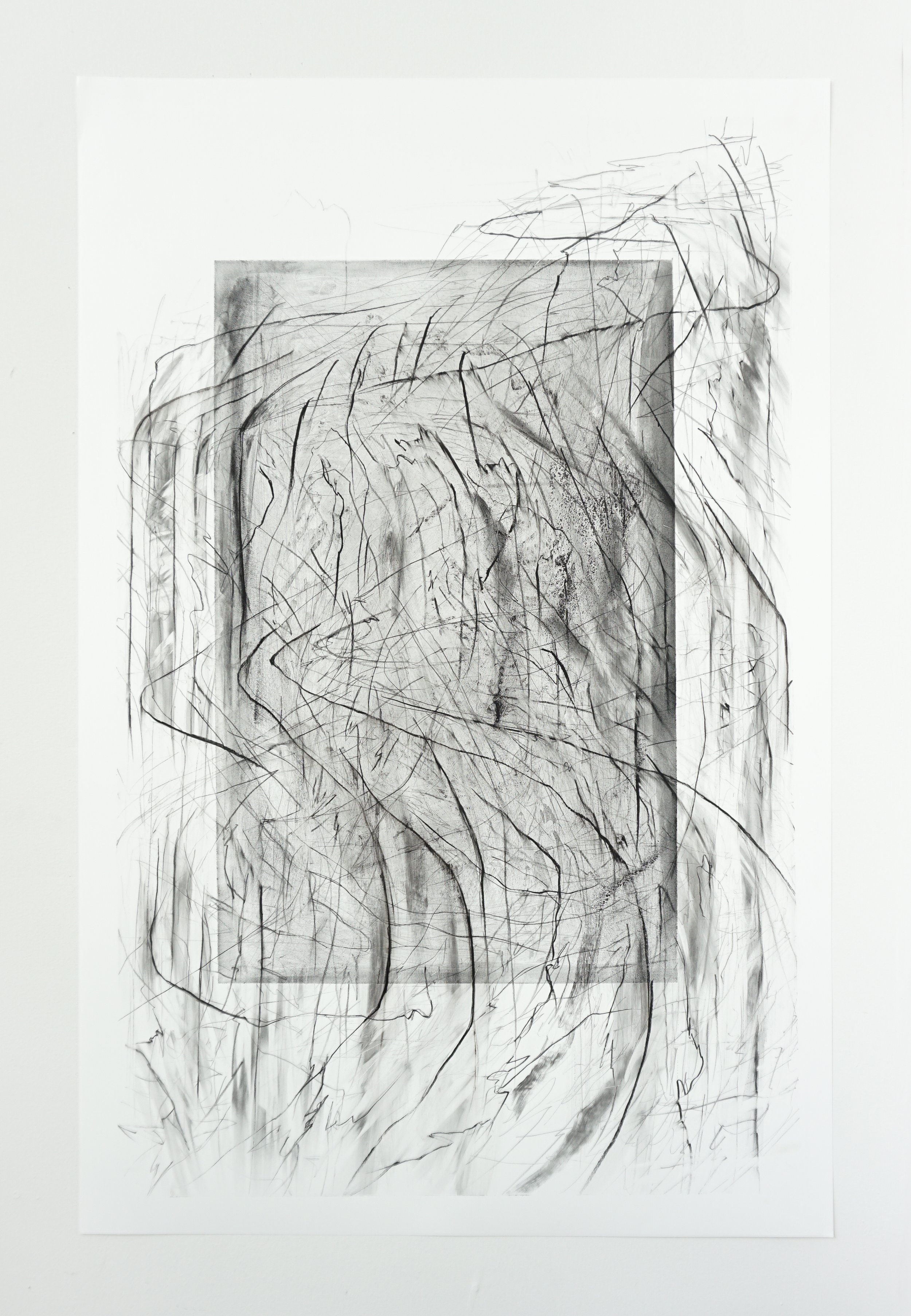  Untitled  charcoal on yupo  40” x 26”  2022,  available - unframed  