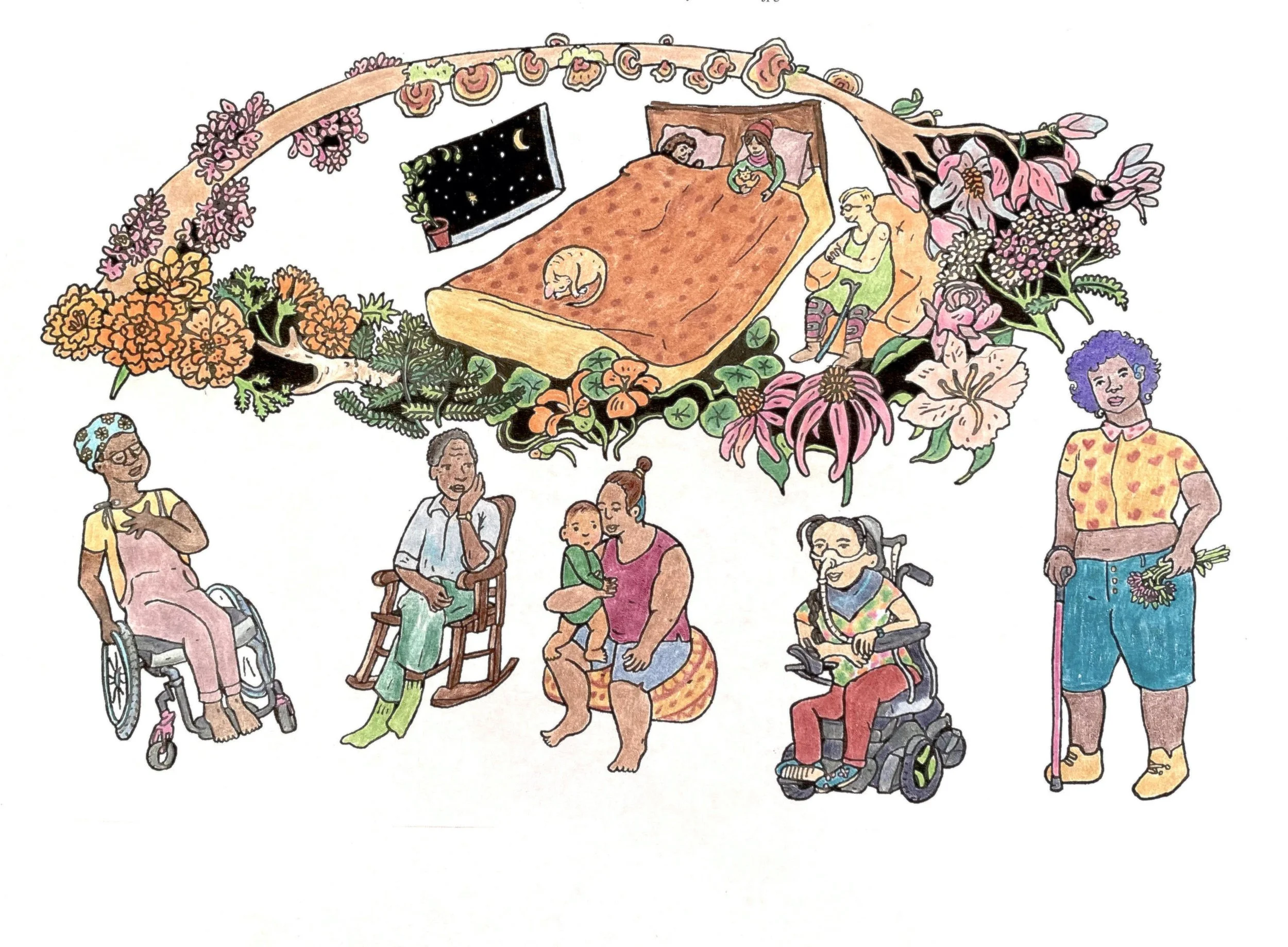 djd header 2 color.jpg
