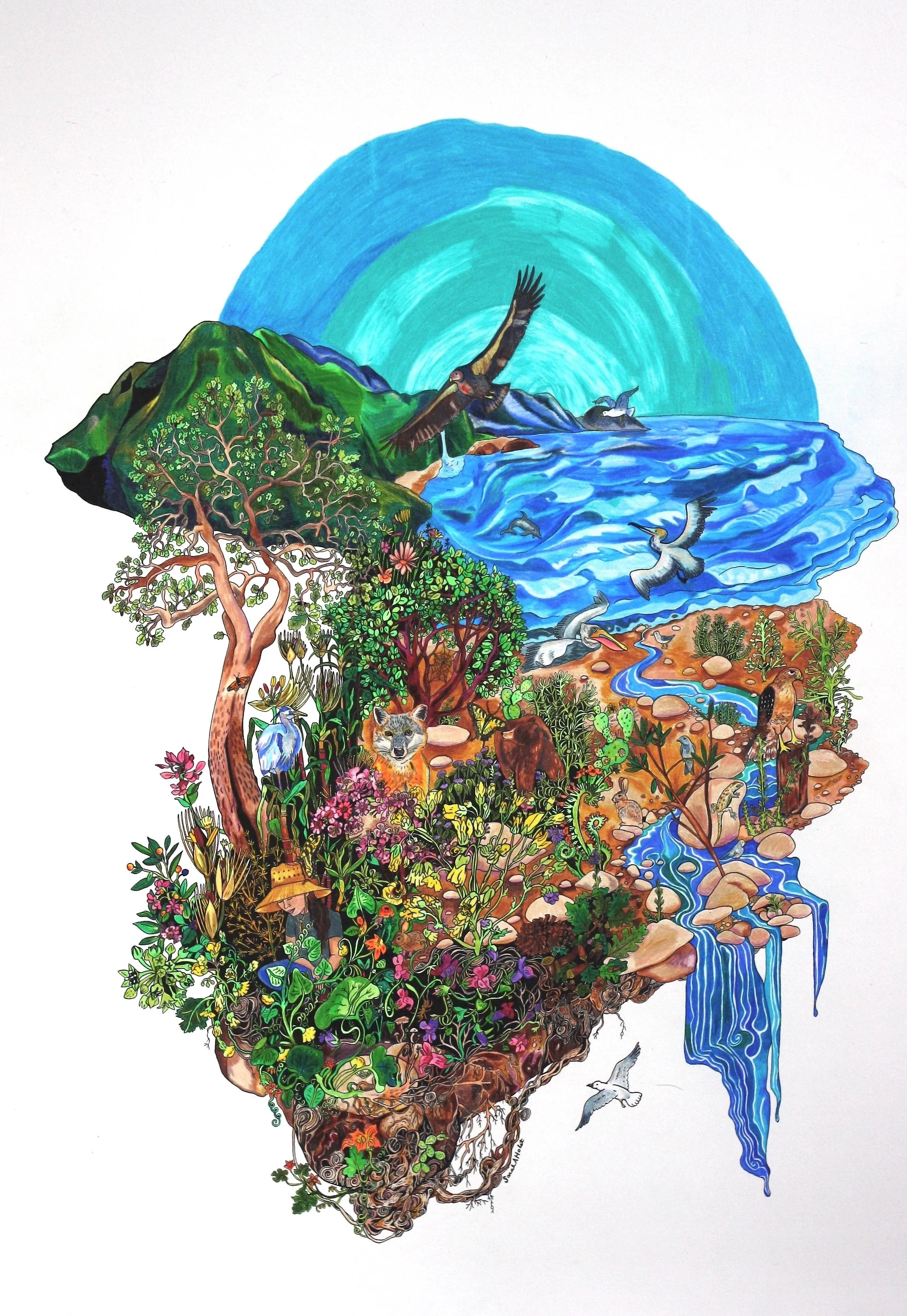 Ventura River Watershed.jpg