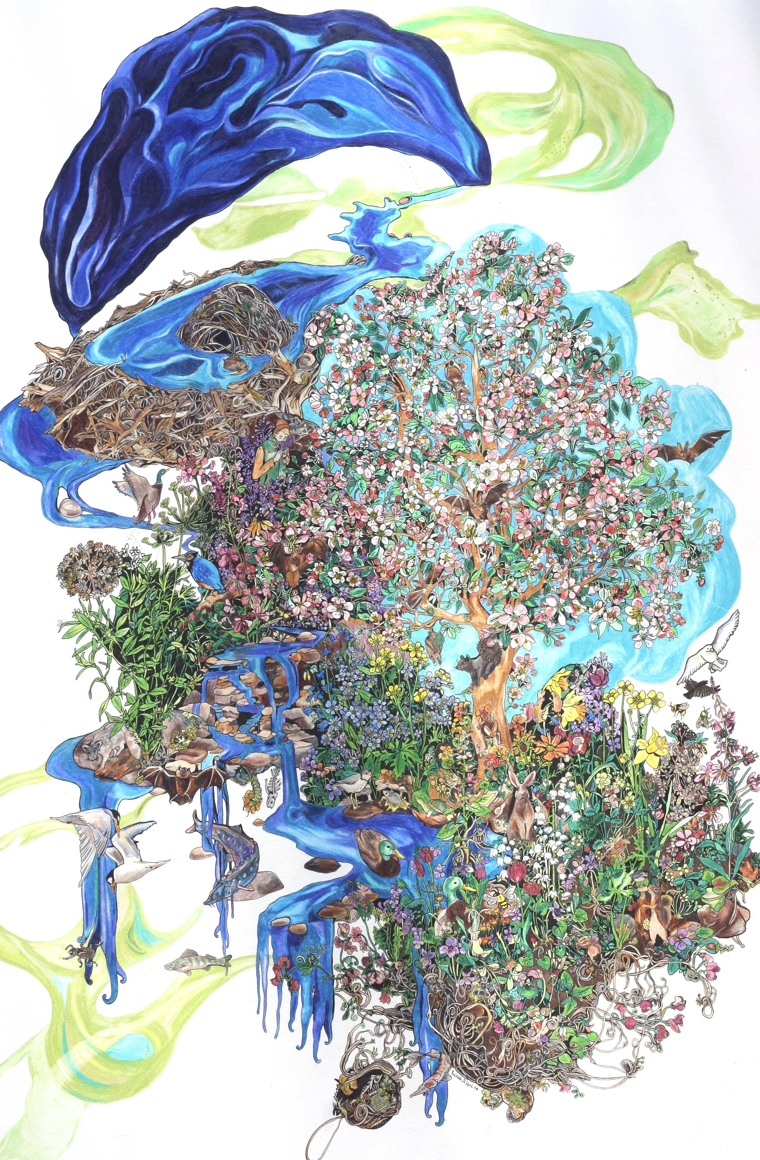 Duck Creek Watershed.jpeg