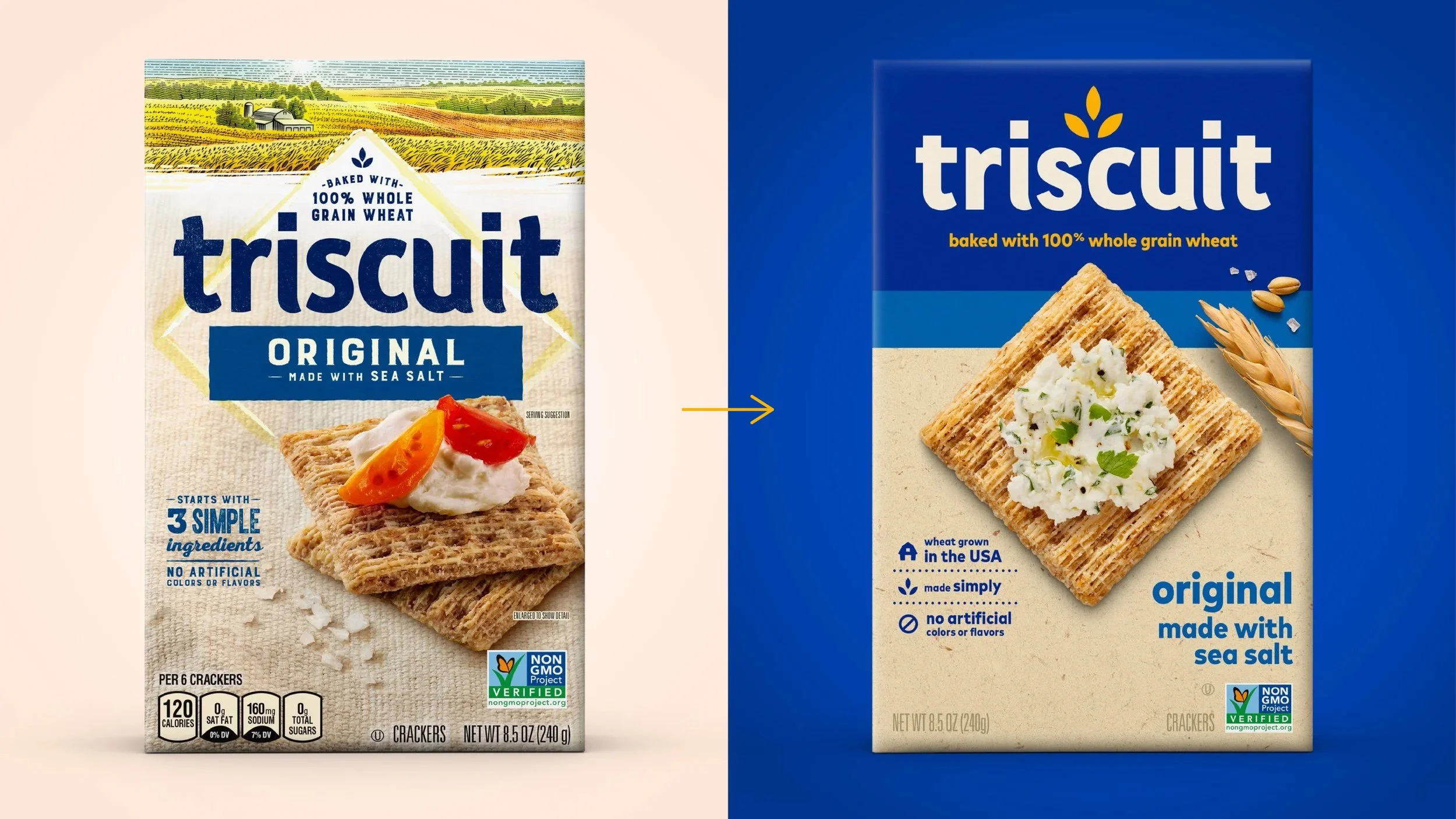 Triscuit_Case_Study_012424_2-03.jpg