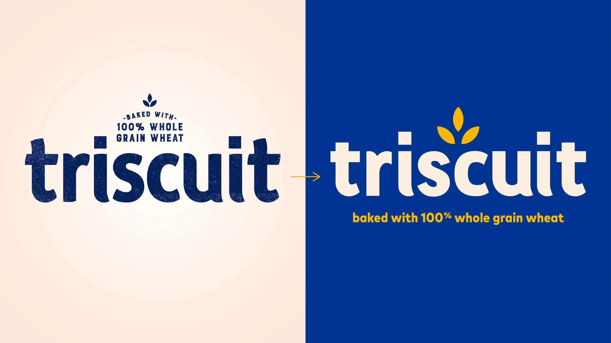 Triscuit_Case_Study_012424_2-04.jpg