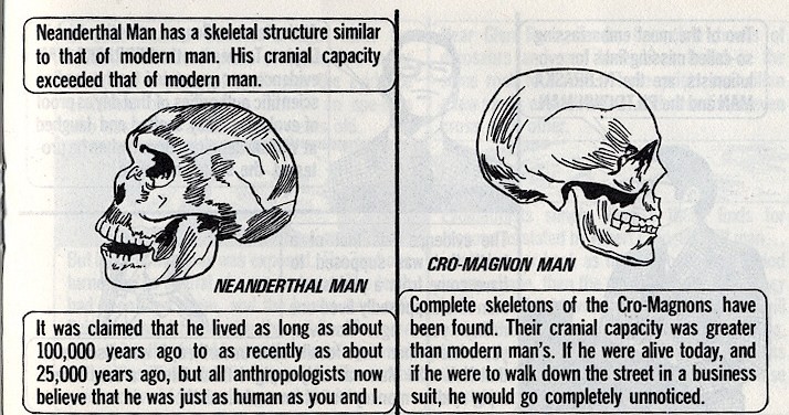 cranial capacity of cro magnon man