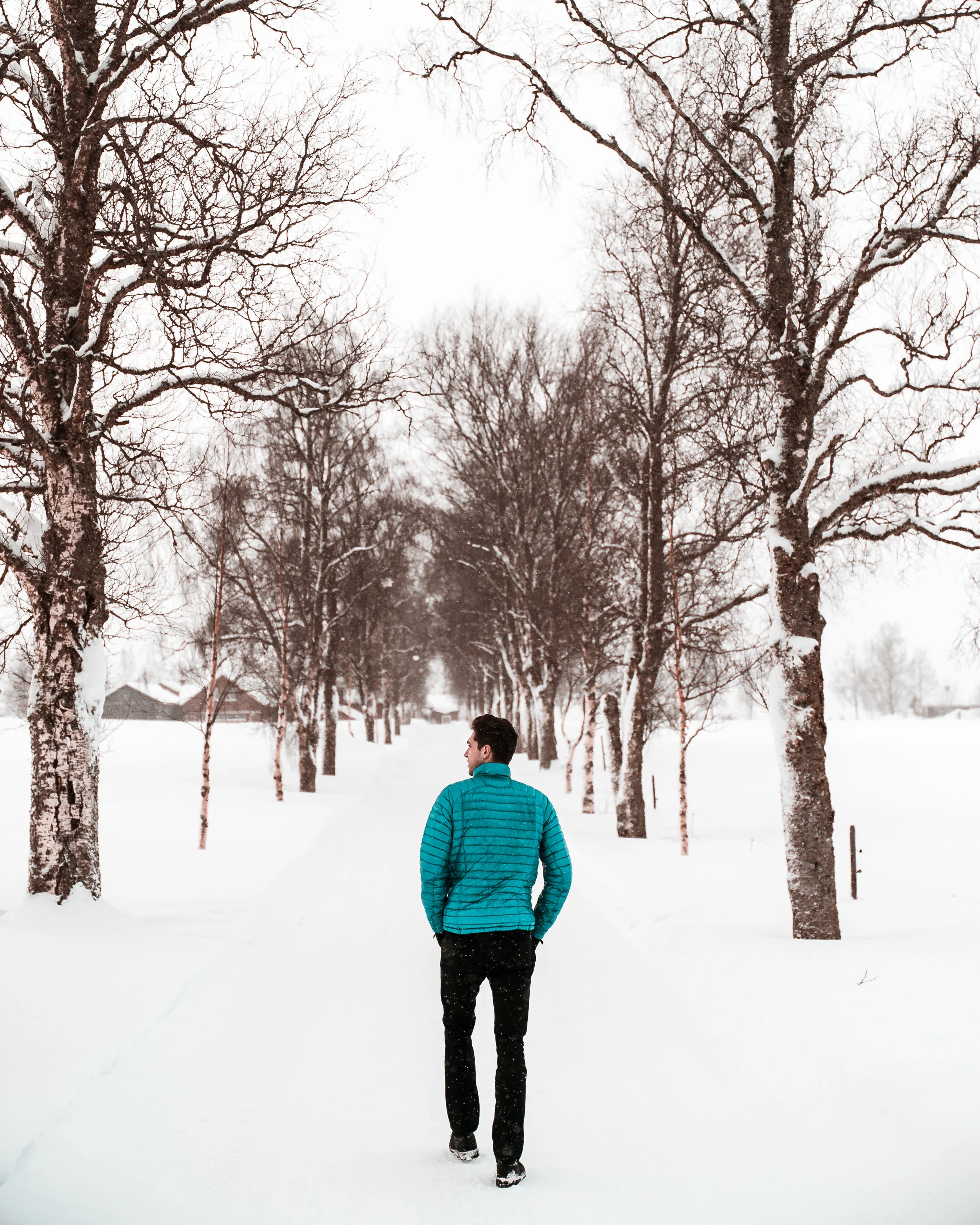 Snow-01086.jpg