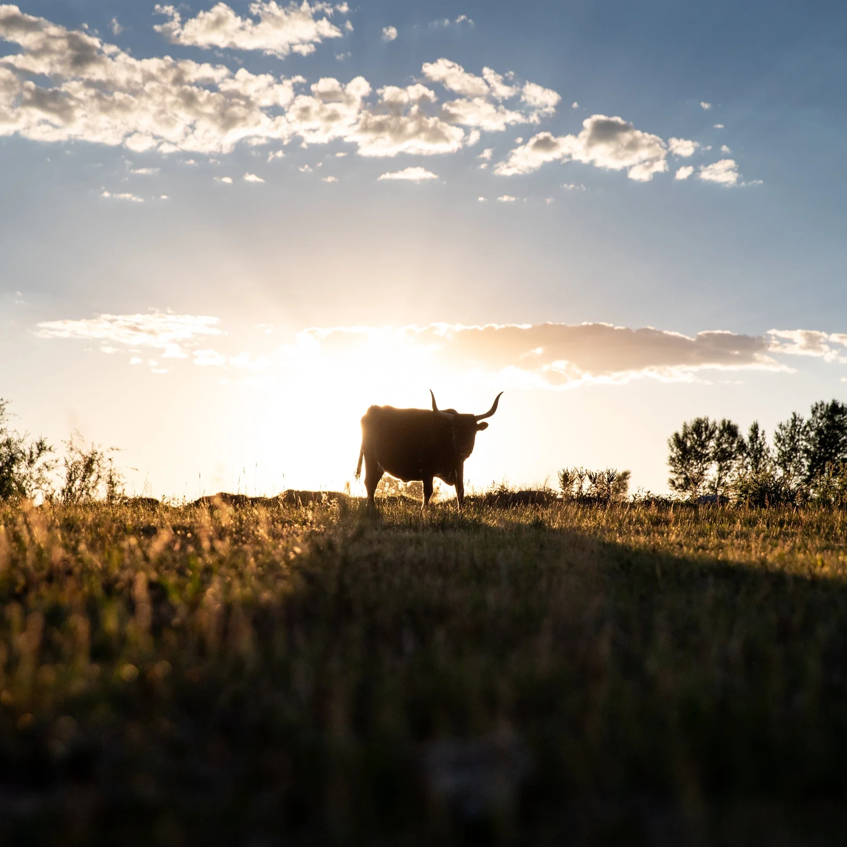 1807013_EXPWyoming_JenerationHomestead_104-1024.jpg