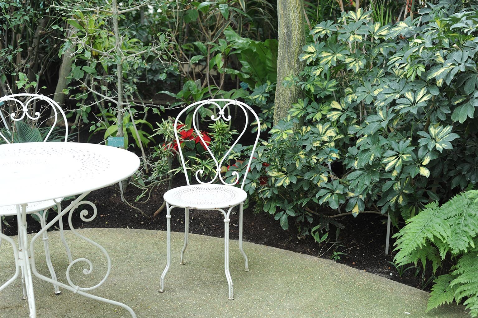 outstand-layout-cover-page-fw14-jardin-des-serres-paris.JPG