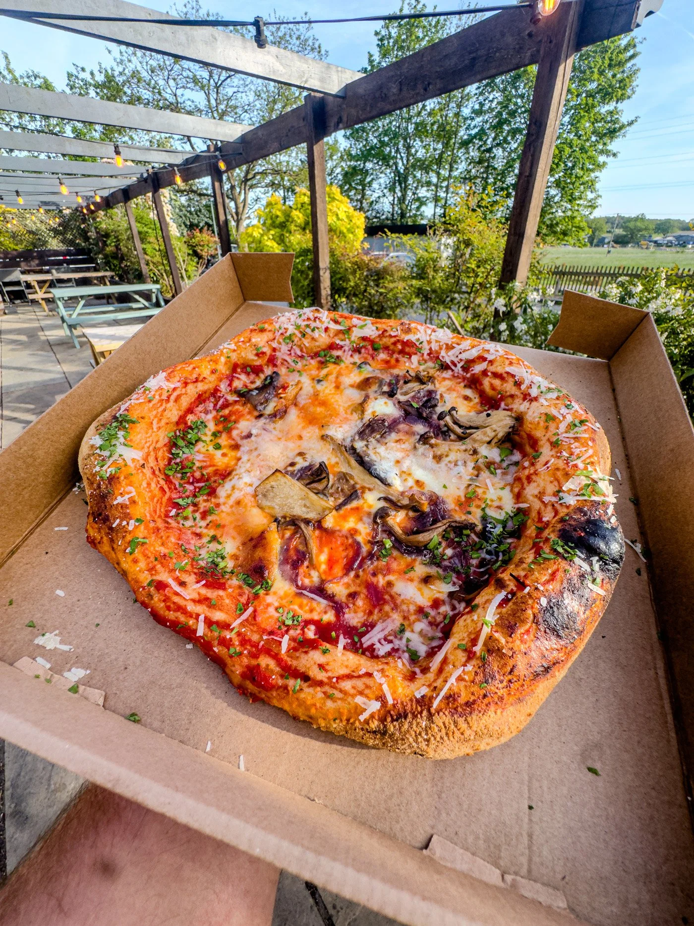 the-railway-inn-botley-pizza-takeaway.jpg