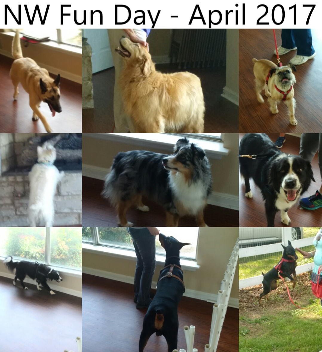 NW Fun April 2017.jpg