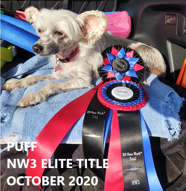 Puff NW3 Elite October 2020.png