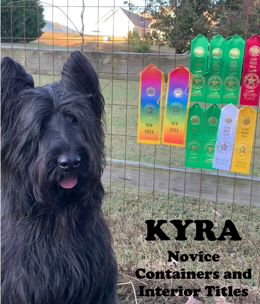 Kyra Novice Container and Interior Scentwork Titles.jpg
