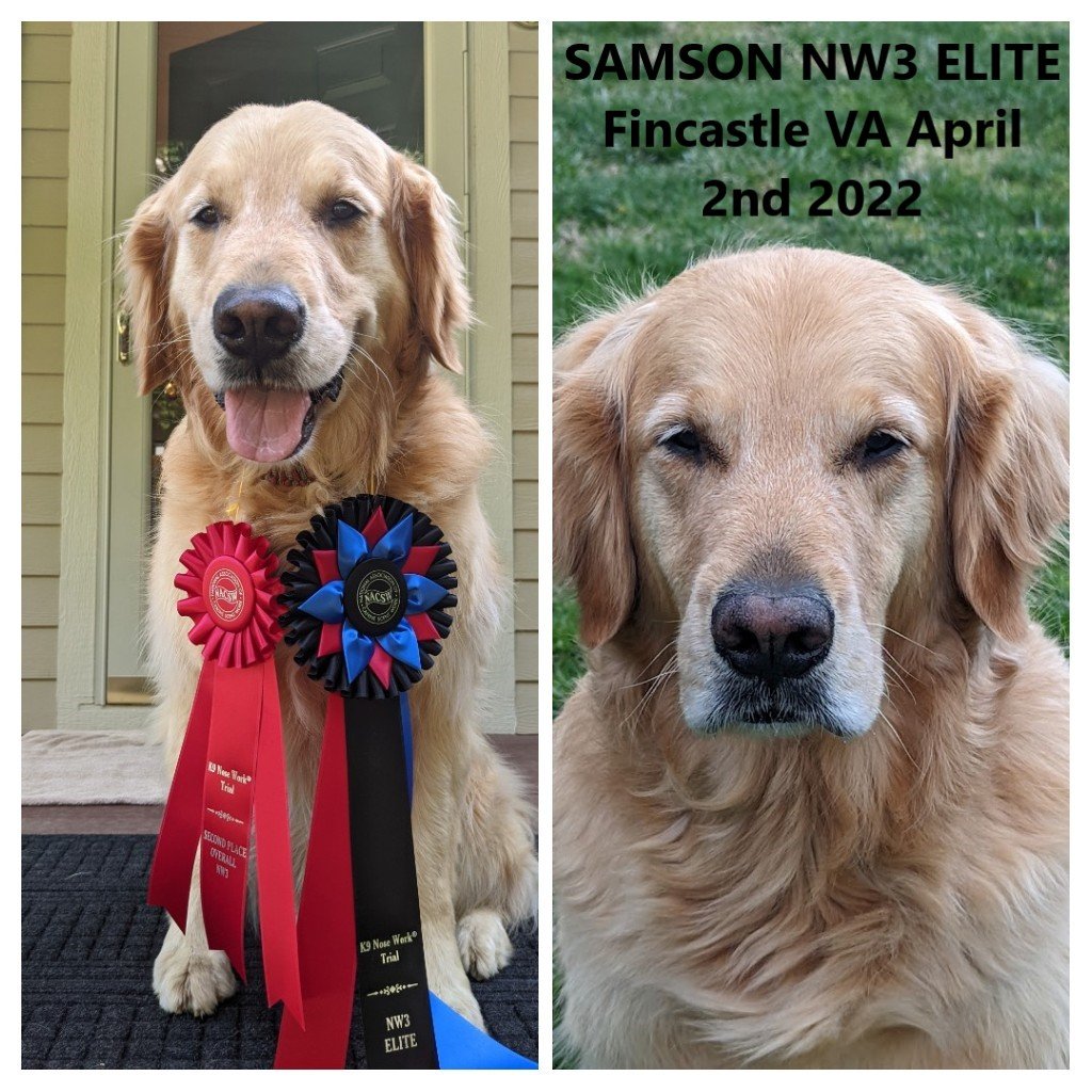 Sam NW3 Elite April 2nd 2022.jpg