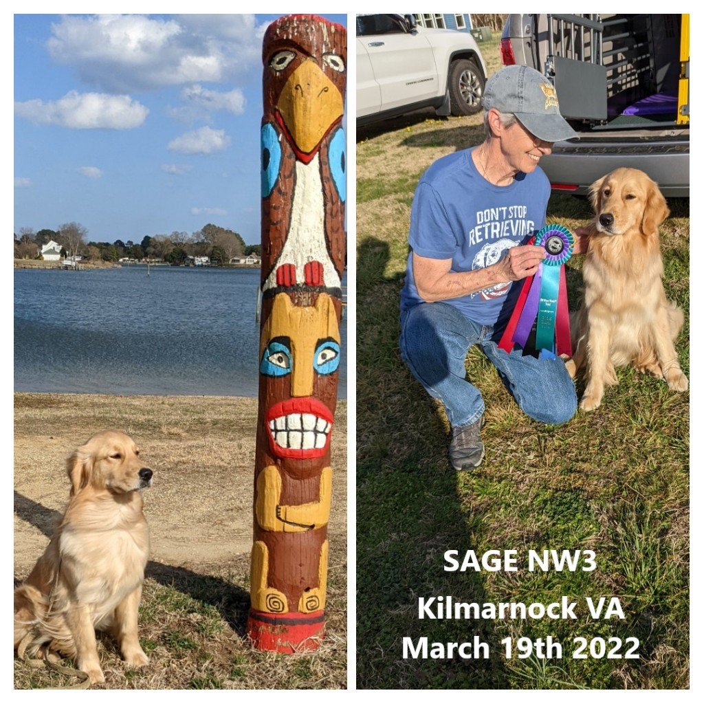 Sage NW3 April 19th 2022.jpg