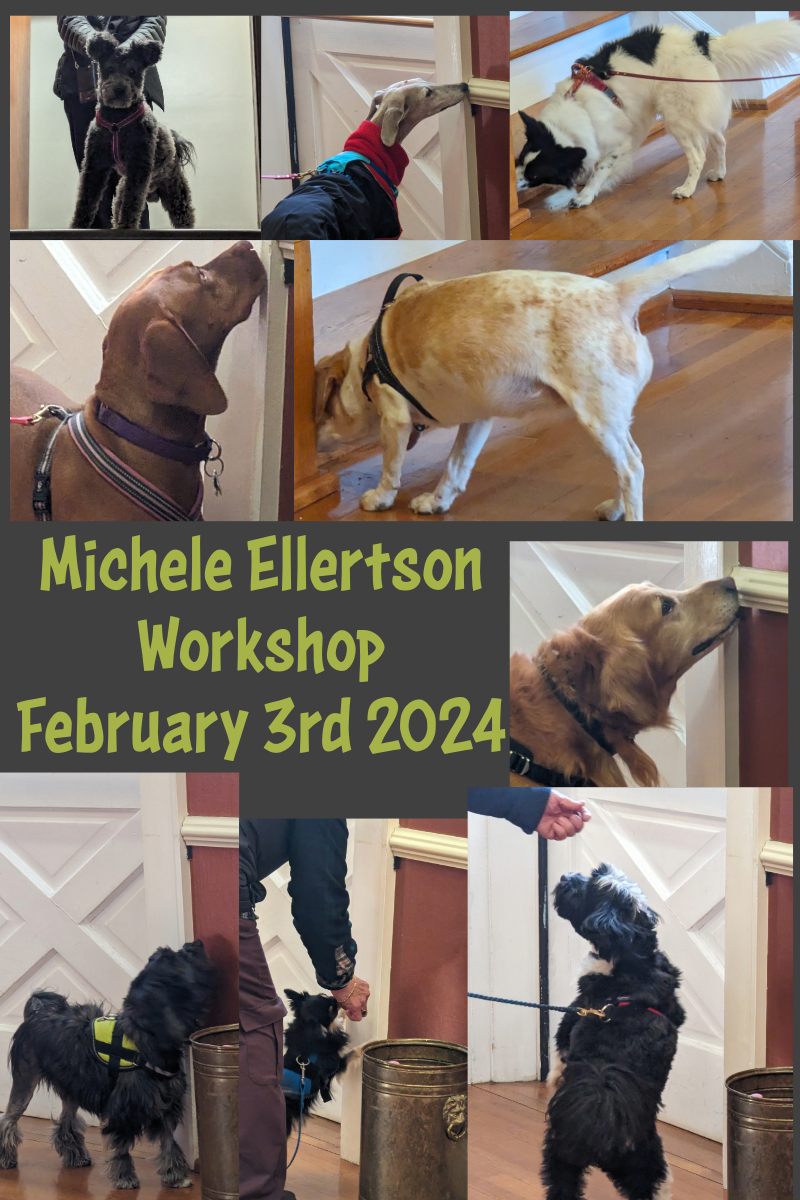 Michele Ellertson Workshop Feb 3rd 2024.png
