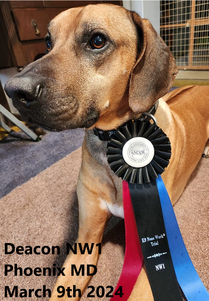 Deacon NW1 20240310.png
