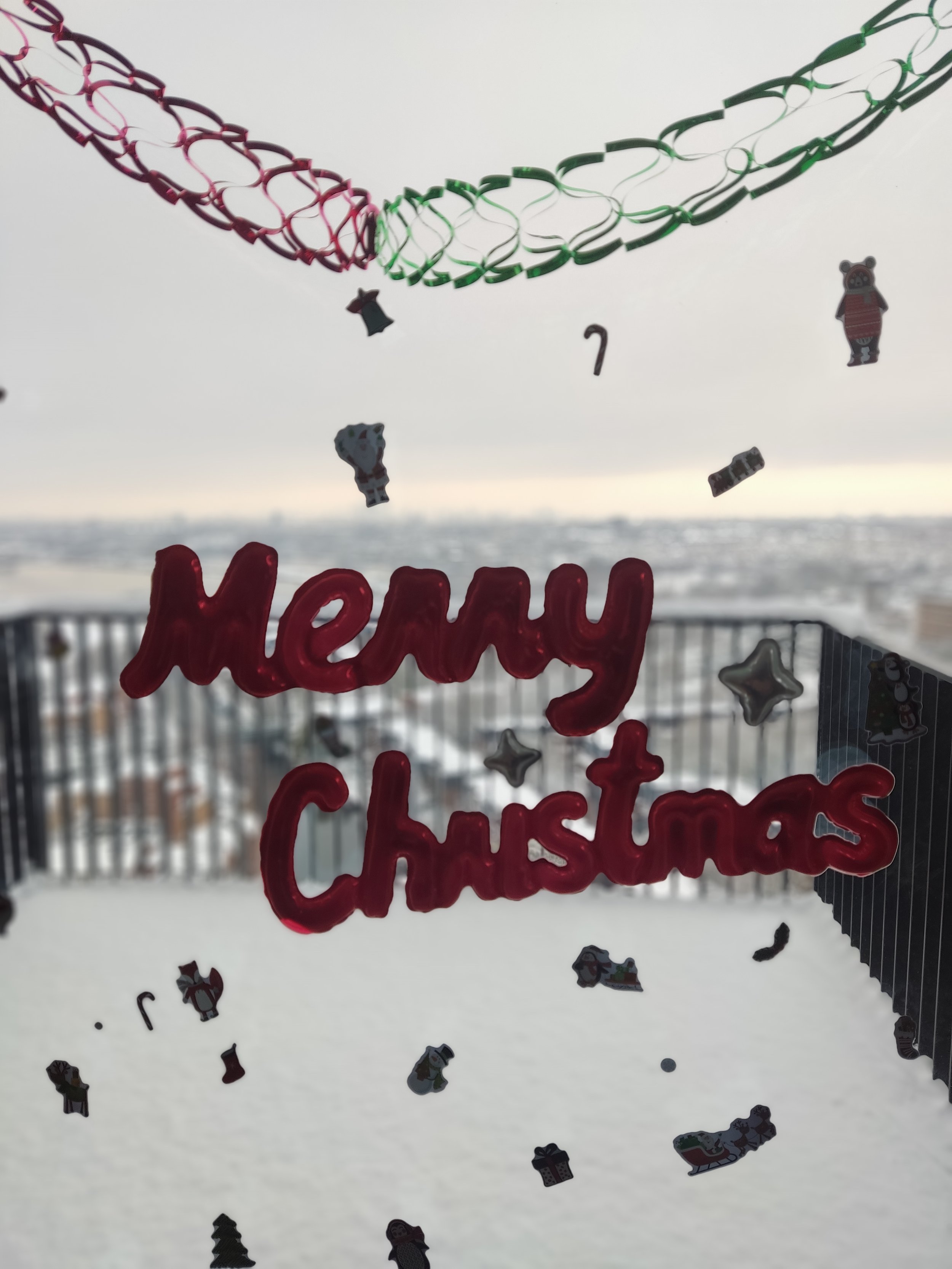 IMG_20221212_124703.jpeg