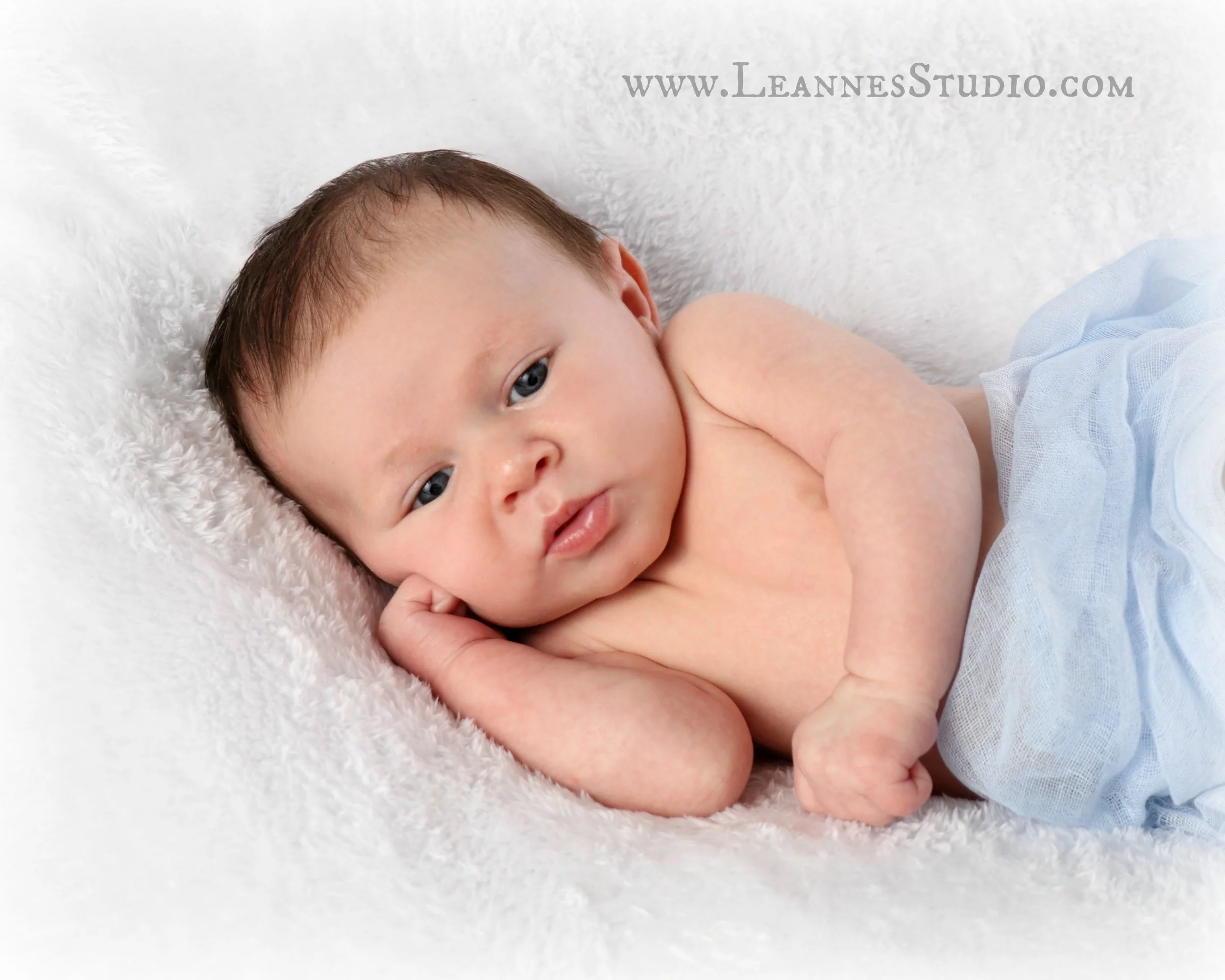 IMG_7203fb.jpg