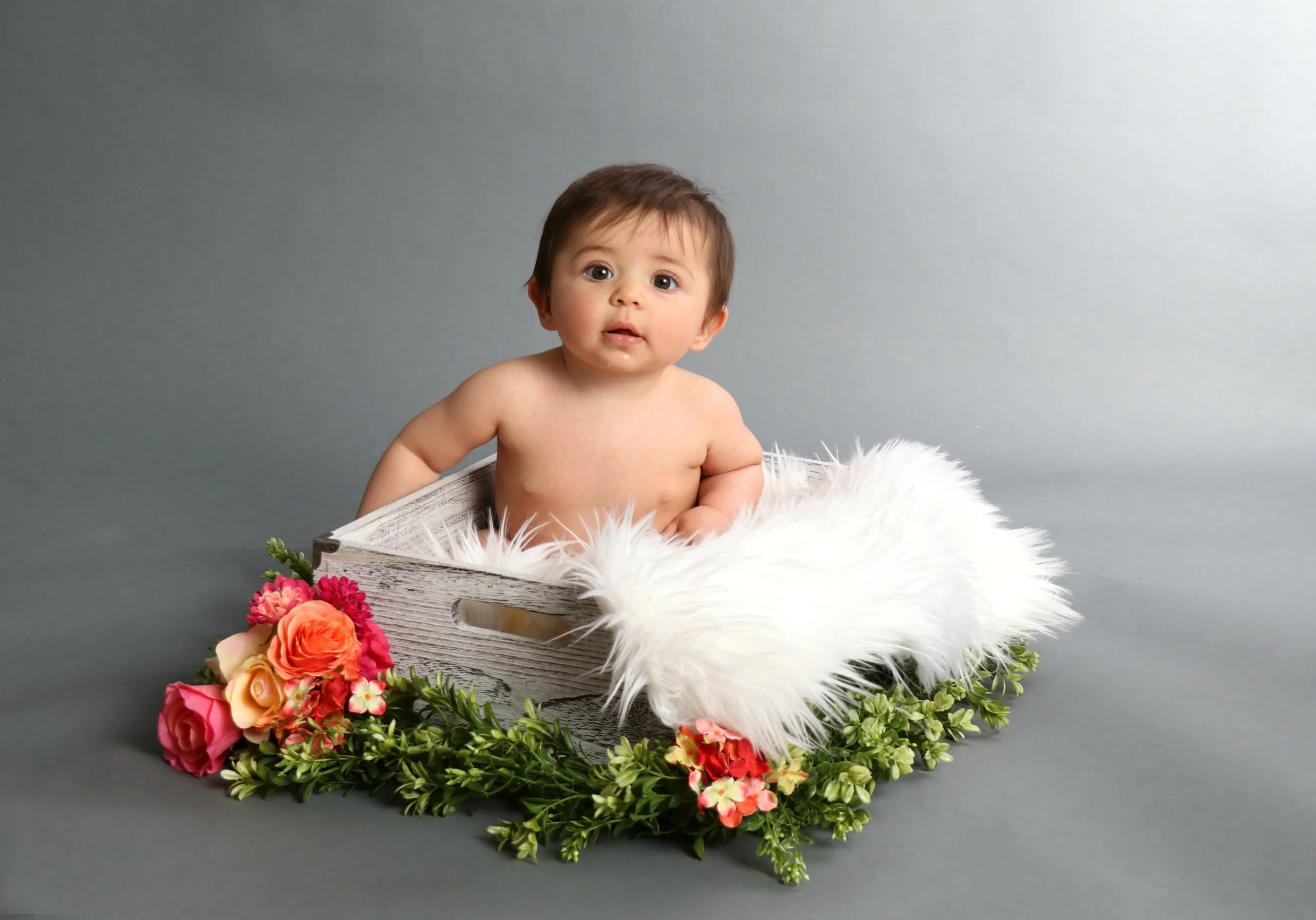 IMG_8113web.jpg