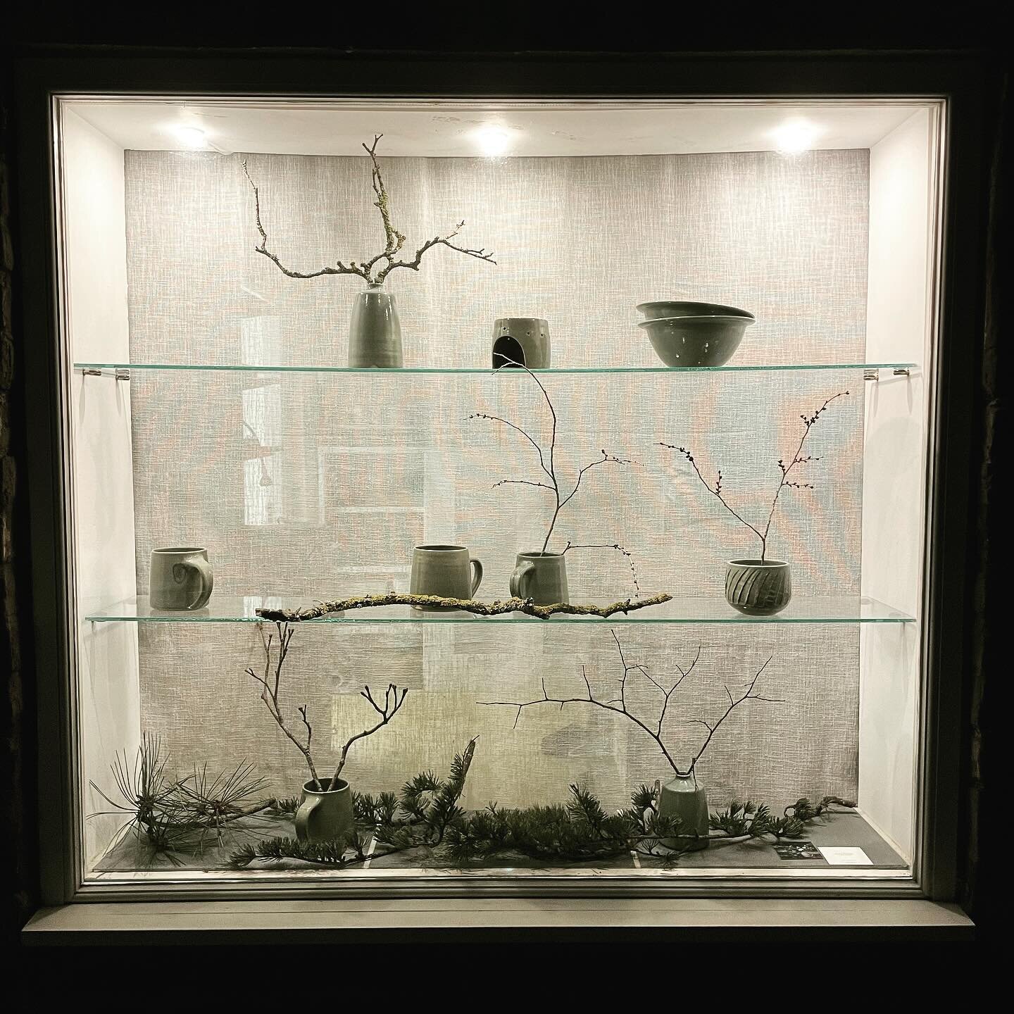 The pottery window late last night &hellip; &hellip; we&rsquo;ve had quite a few branches down on my walks locally and although it&rsquo;s so sad they&rsquo;ve come down, especially larger branches, I love to see the lichen-covered tops of trees, the