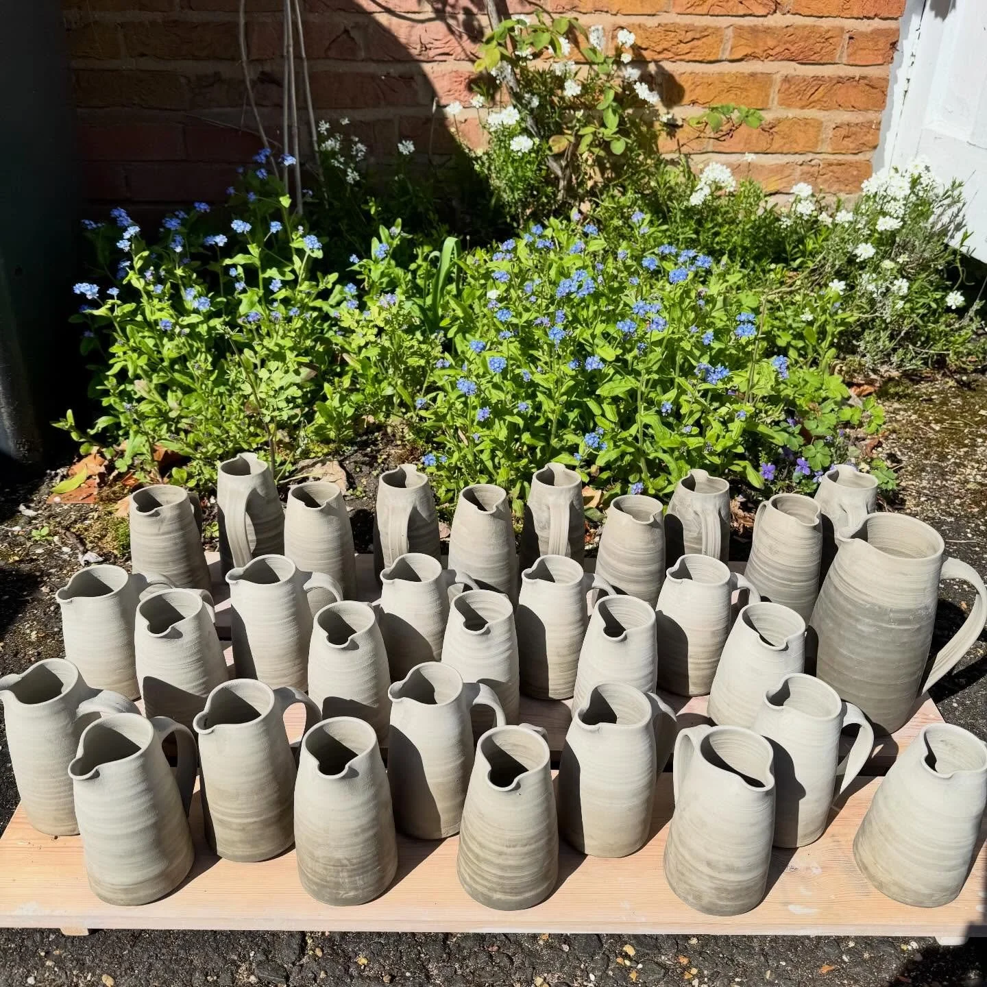Pots are still proliferating &hellip; you may notice my backdrops are a little different of late. I&rsquo;ve been taking some time out to hang out with my lovely mum and dad and their garden is so beautiful. I am surrounded by wrens, blue tits, a pai