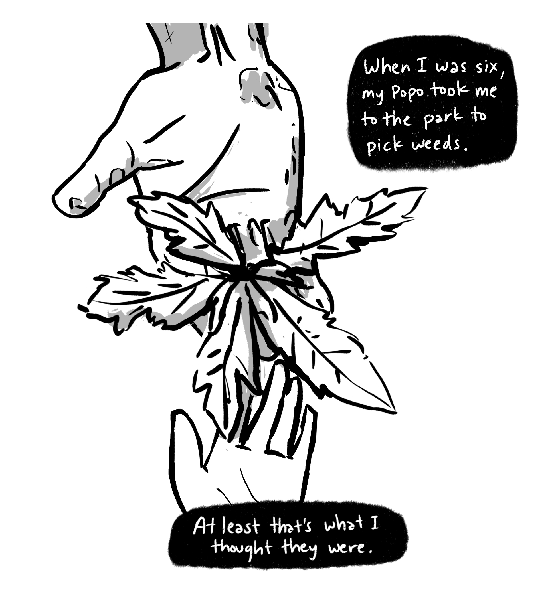 Untitled_Artwork 59.png