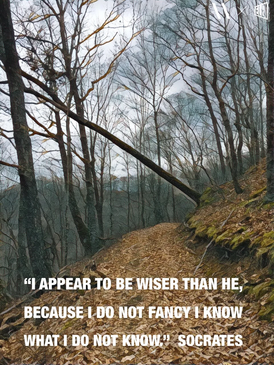 know it alll socrates.JPG