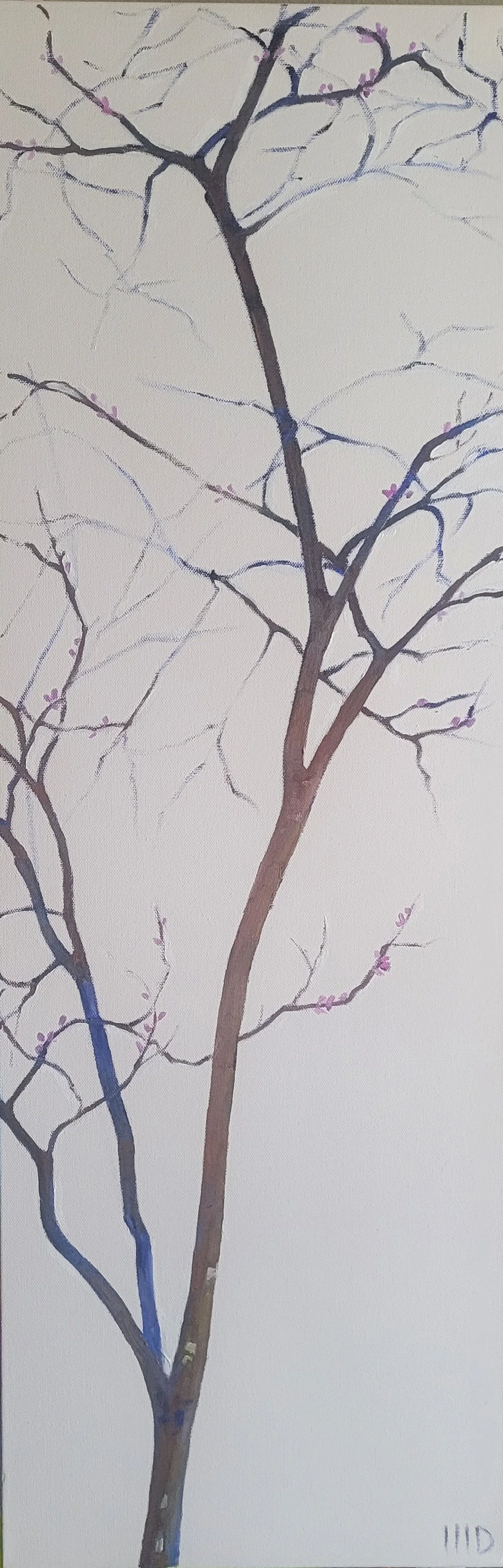 MDaniels_RedbudinApril_12x36_oil.jpg