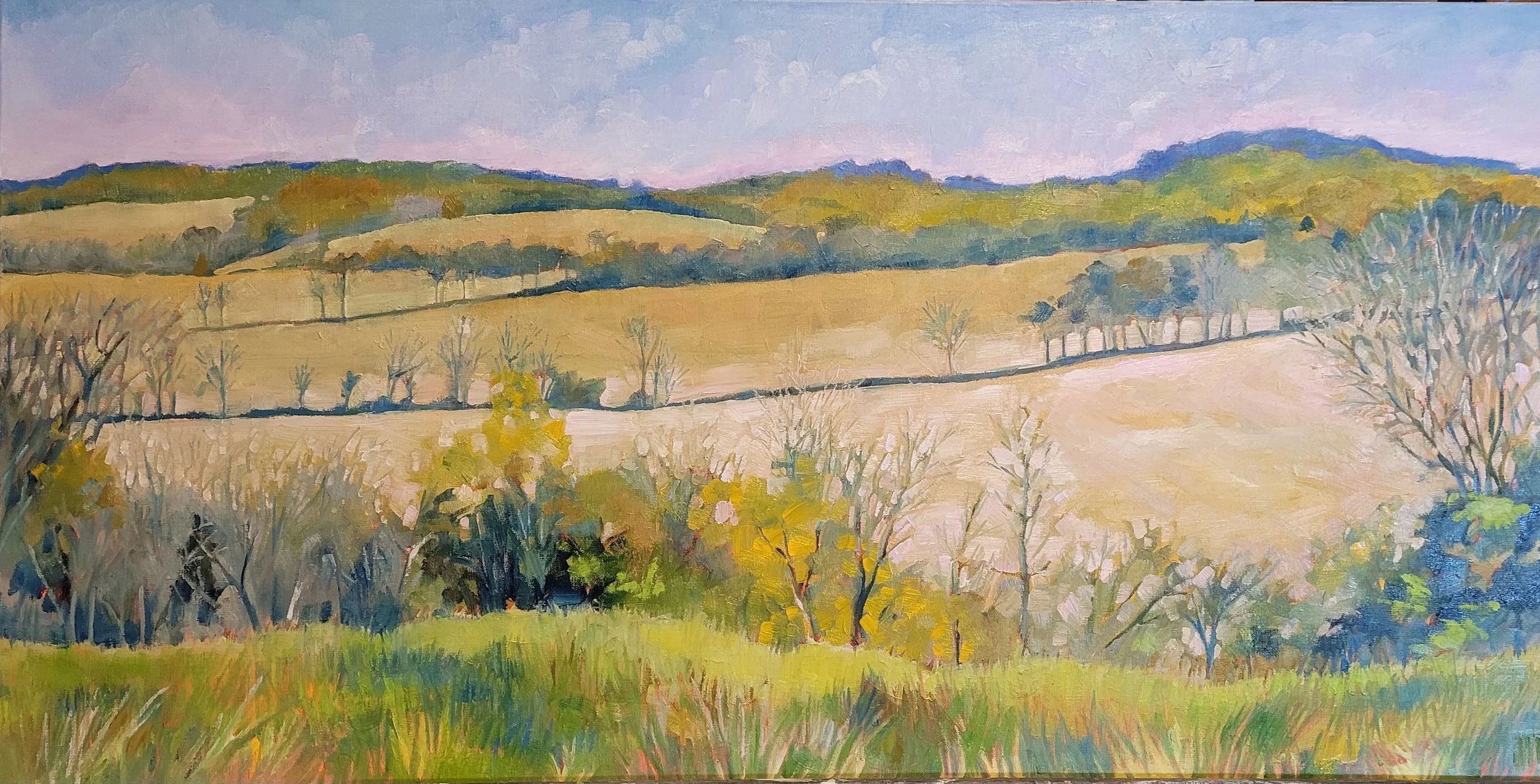 MDaniels_SoybeanFields_36x18_oil.jpg