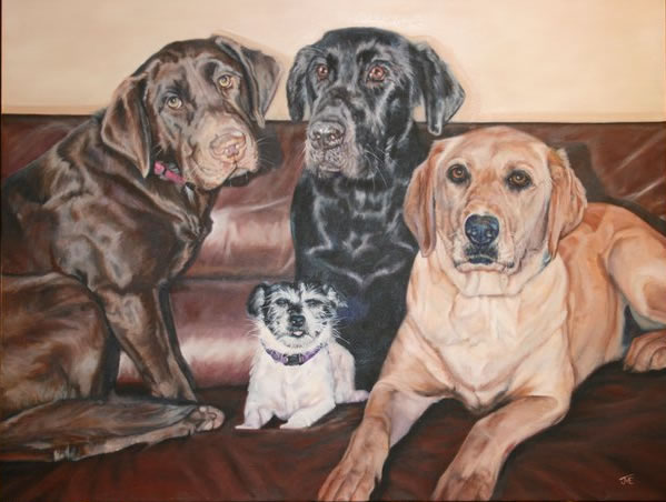 Bill Moore's Dogs