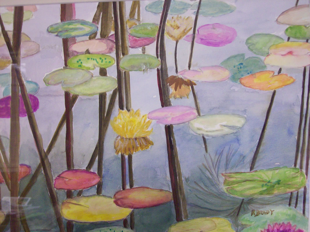 Lily Pond