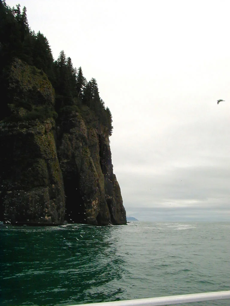 Point with Bird, Alaska