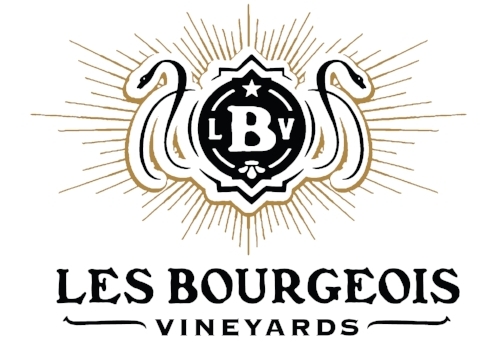 <a href="http://www.missouriwine.com/" target="_blank"><h3>Les Bougeois<br>Vineyards</h3></a><br>Gallery Silver Sponsor