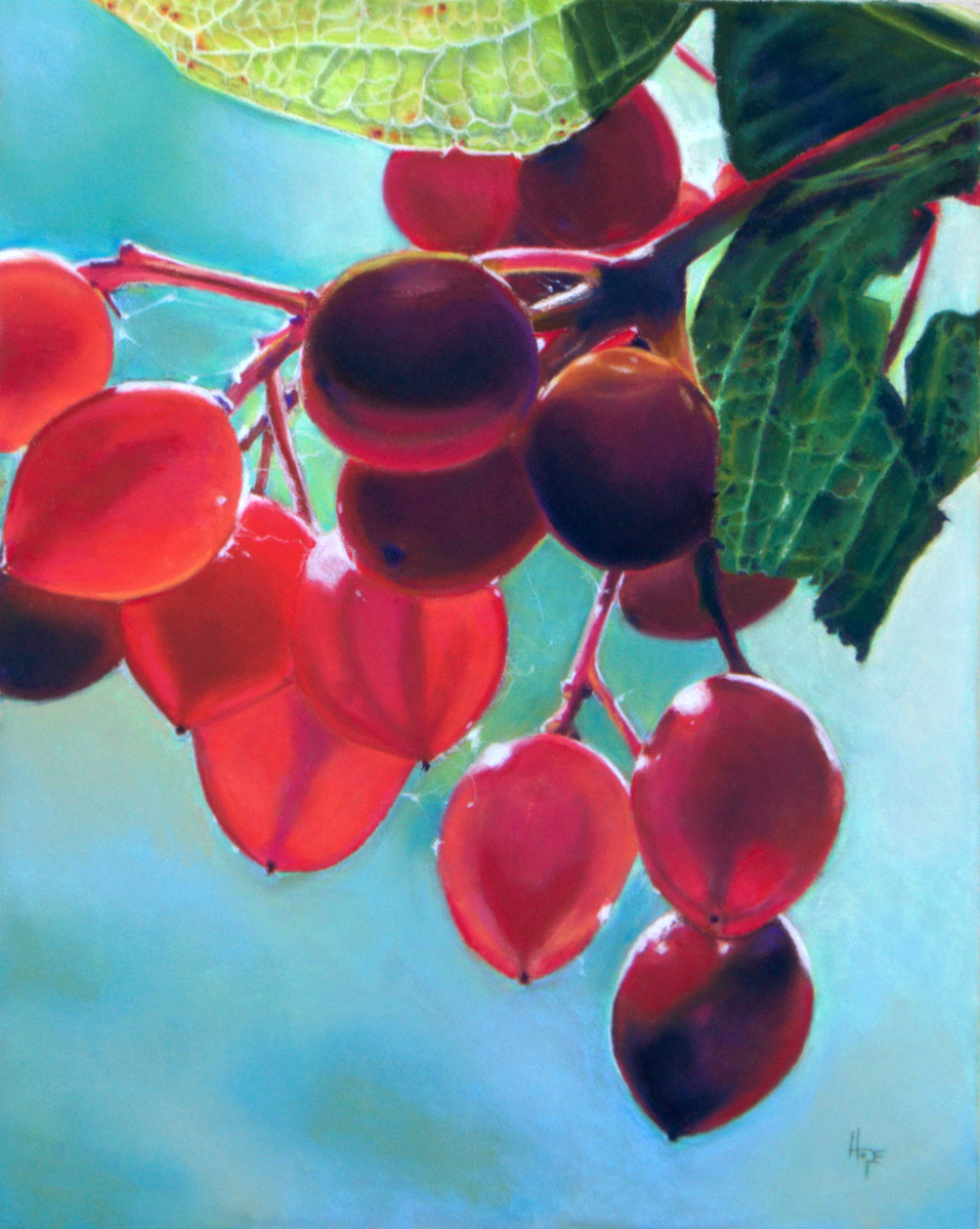 Backlit Berries