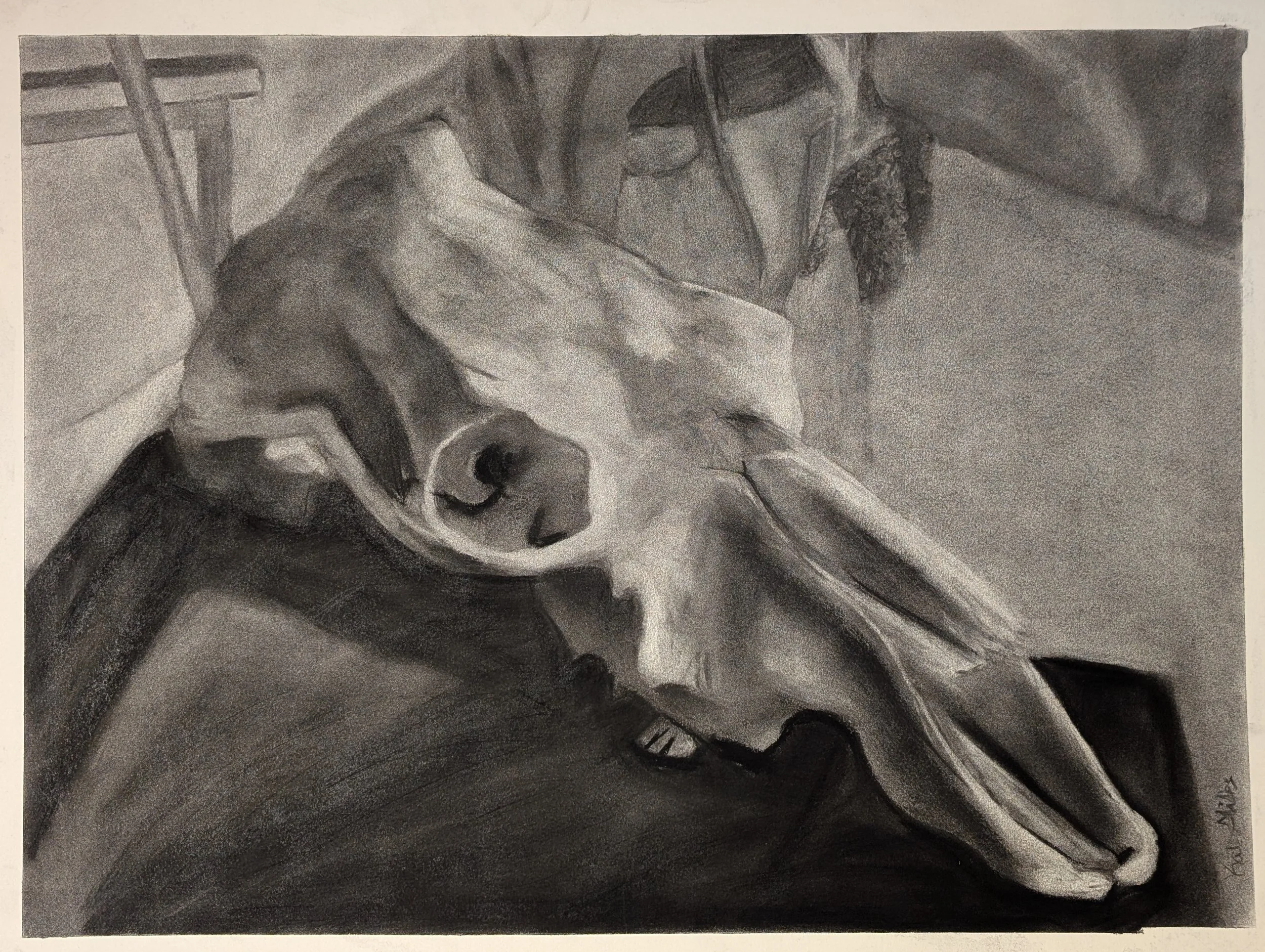 pic 7.jpg