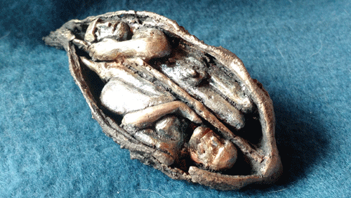 Milkweed Pod People