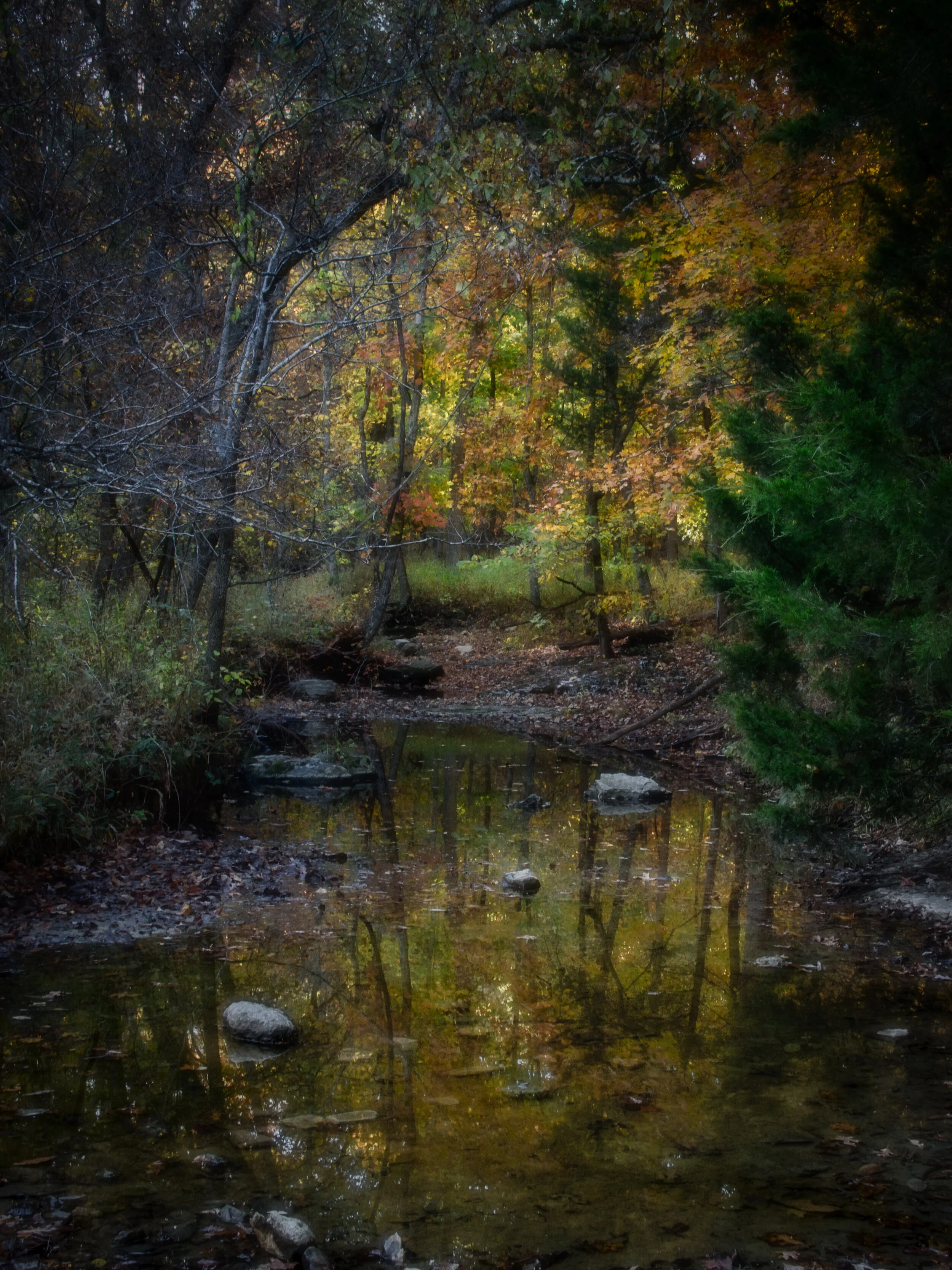 Autumn Creek .jpeg