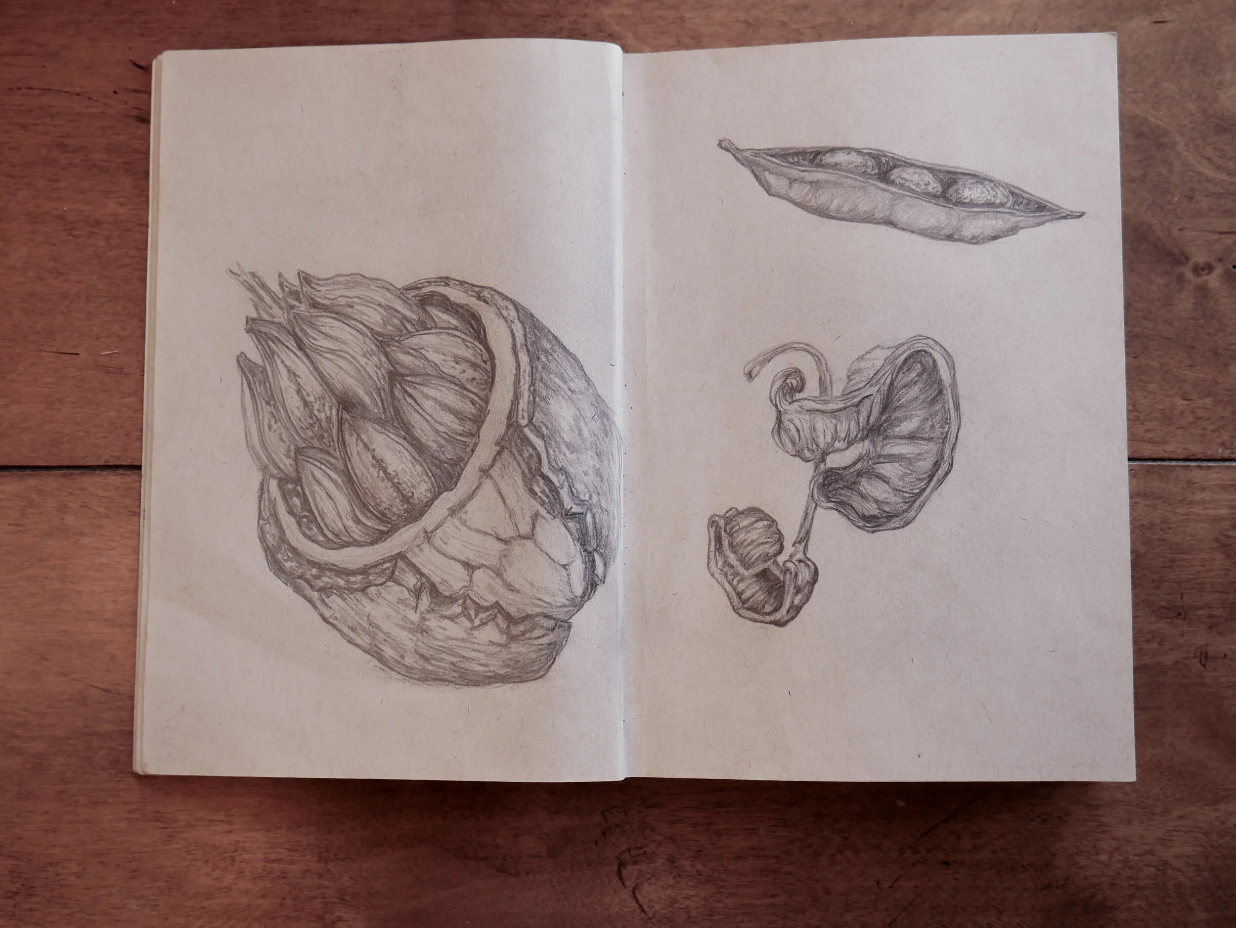 Sketchbook Show