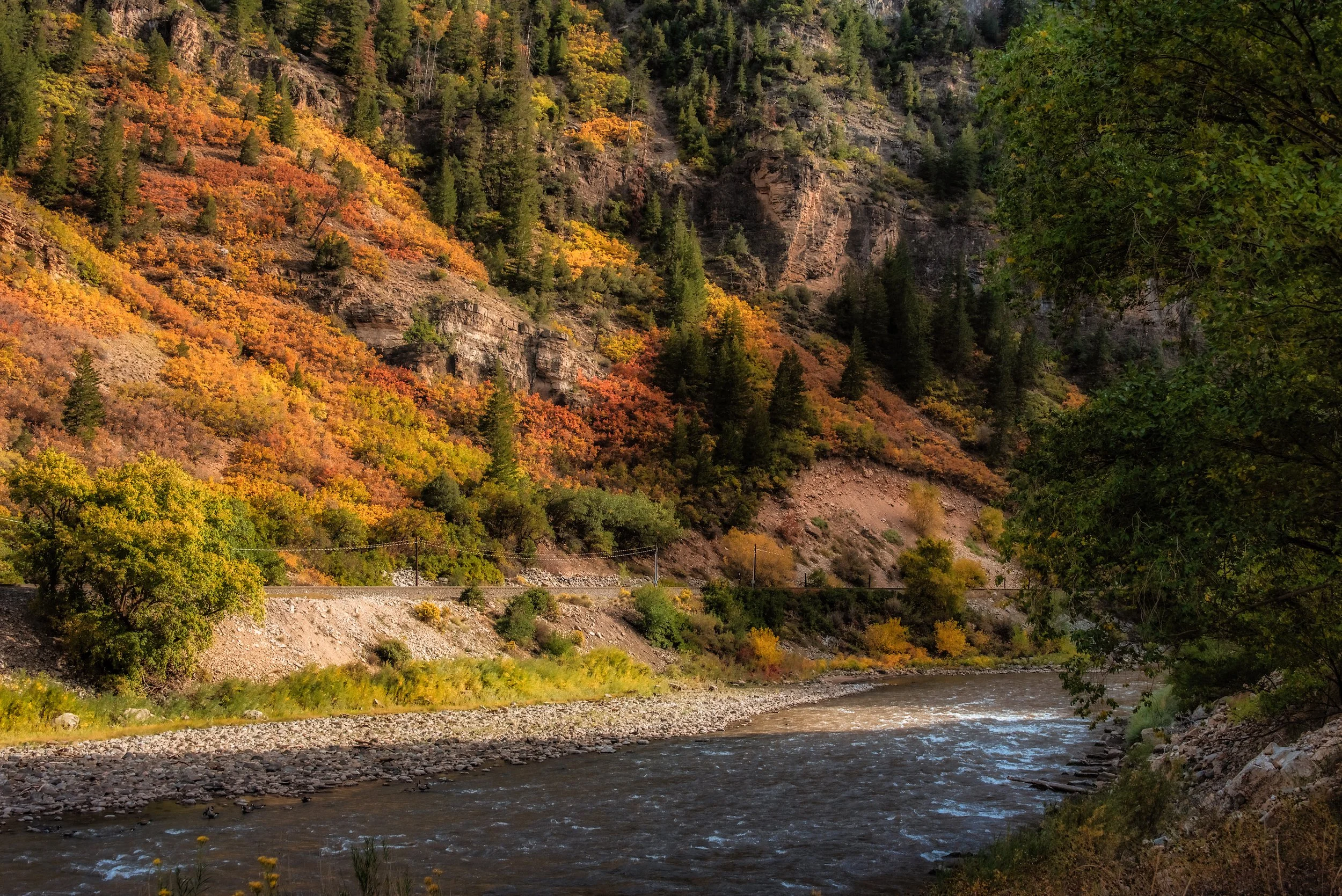 Autumn Colorado copy.jpeg