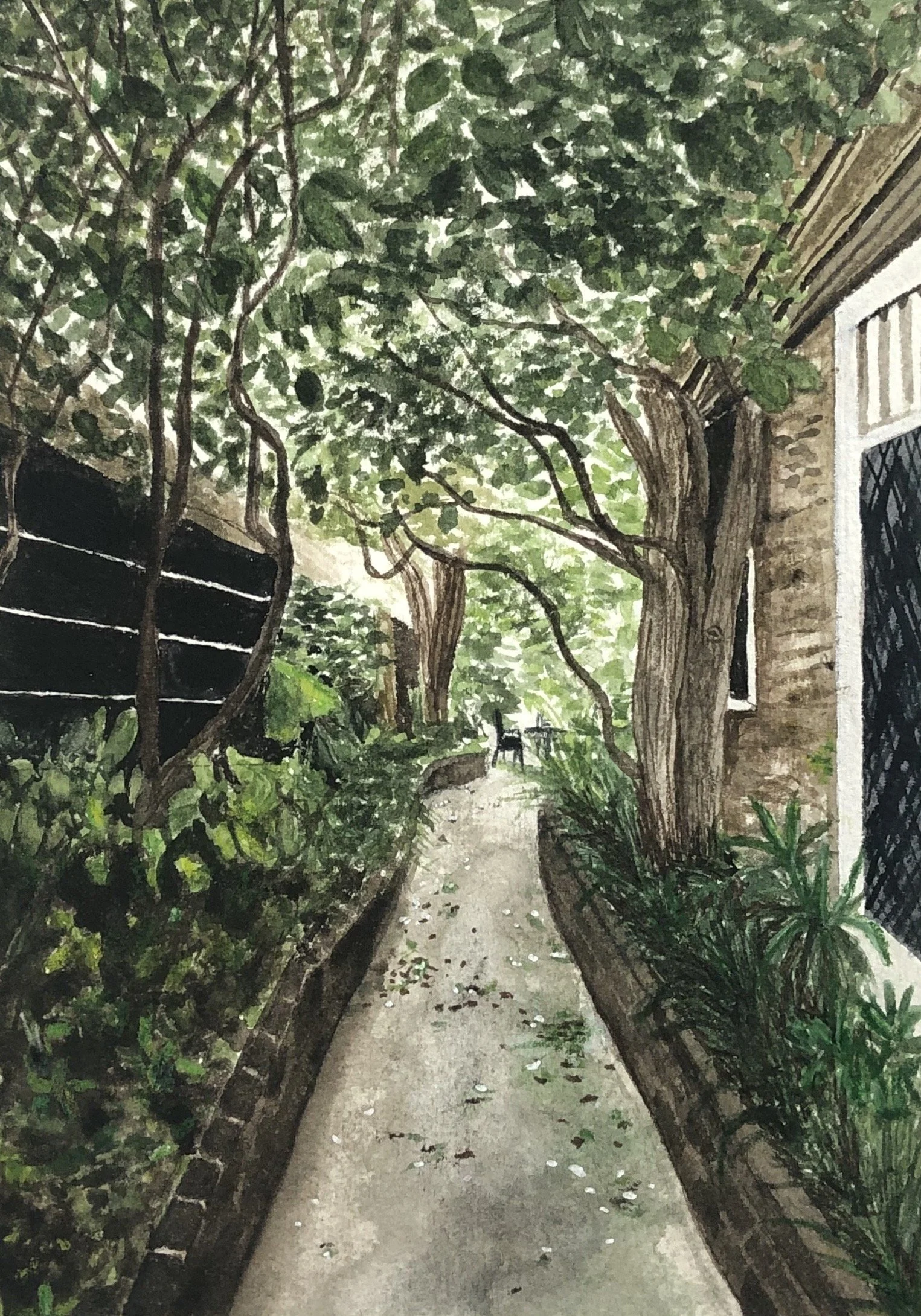 Members 22 Lindsay Picht, Hidden Path.jpeg