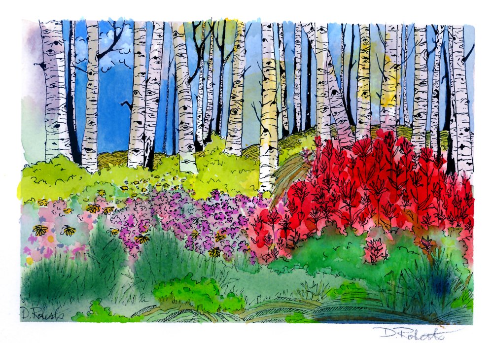 Scapes Deb Roberts ASPEN.jpg