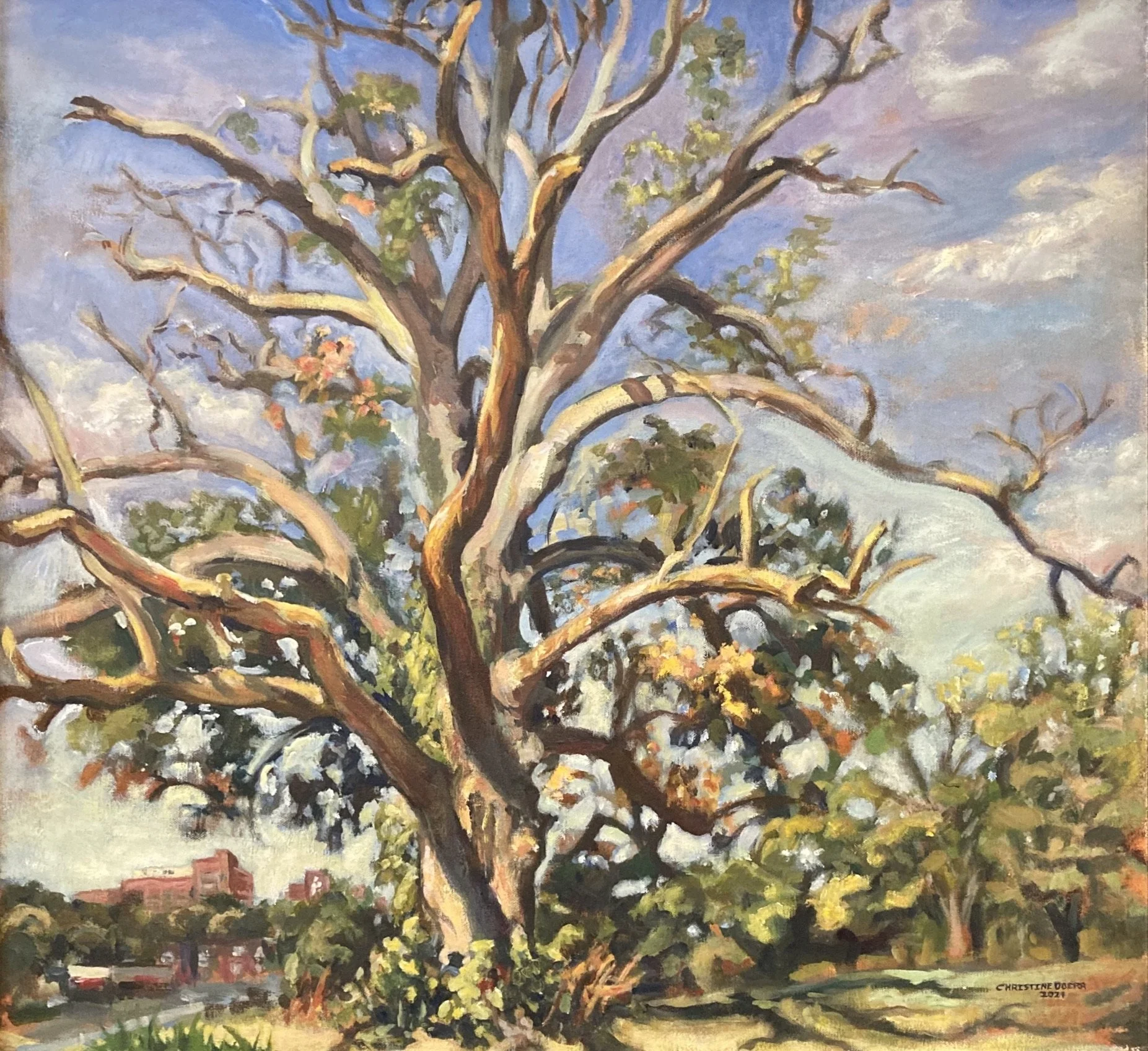 Scapes Christine Doerr Swan Song at Stephens Park.jpeg