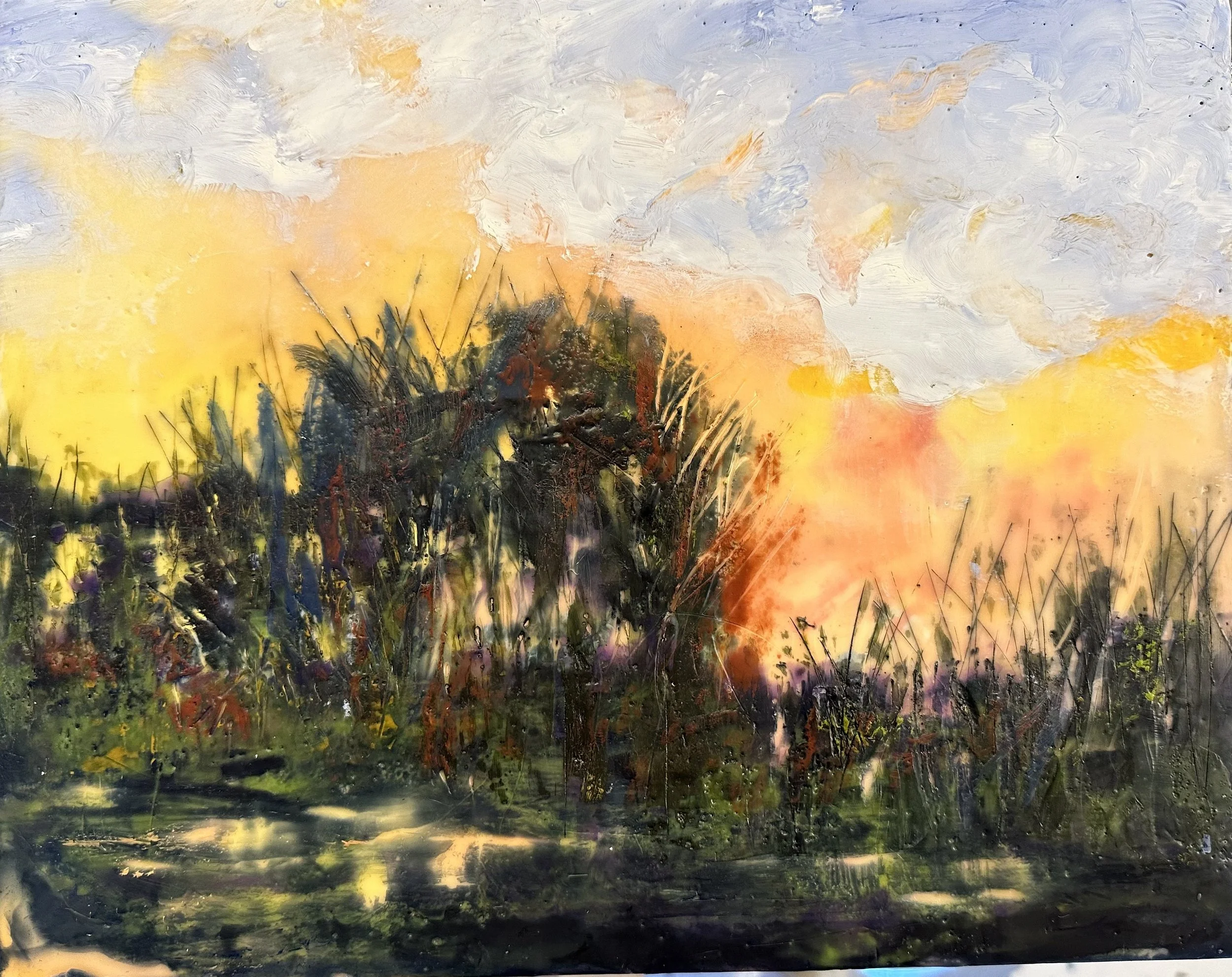 Pam Gainor, Fall Sunset .jpeg