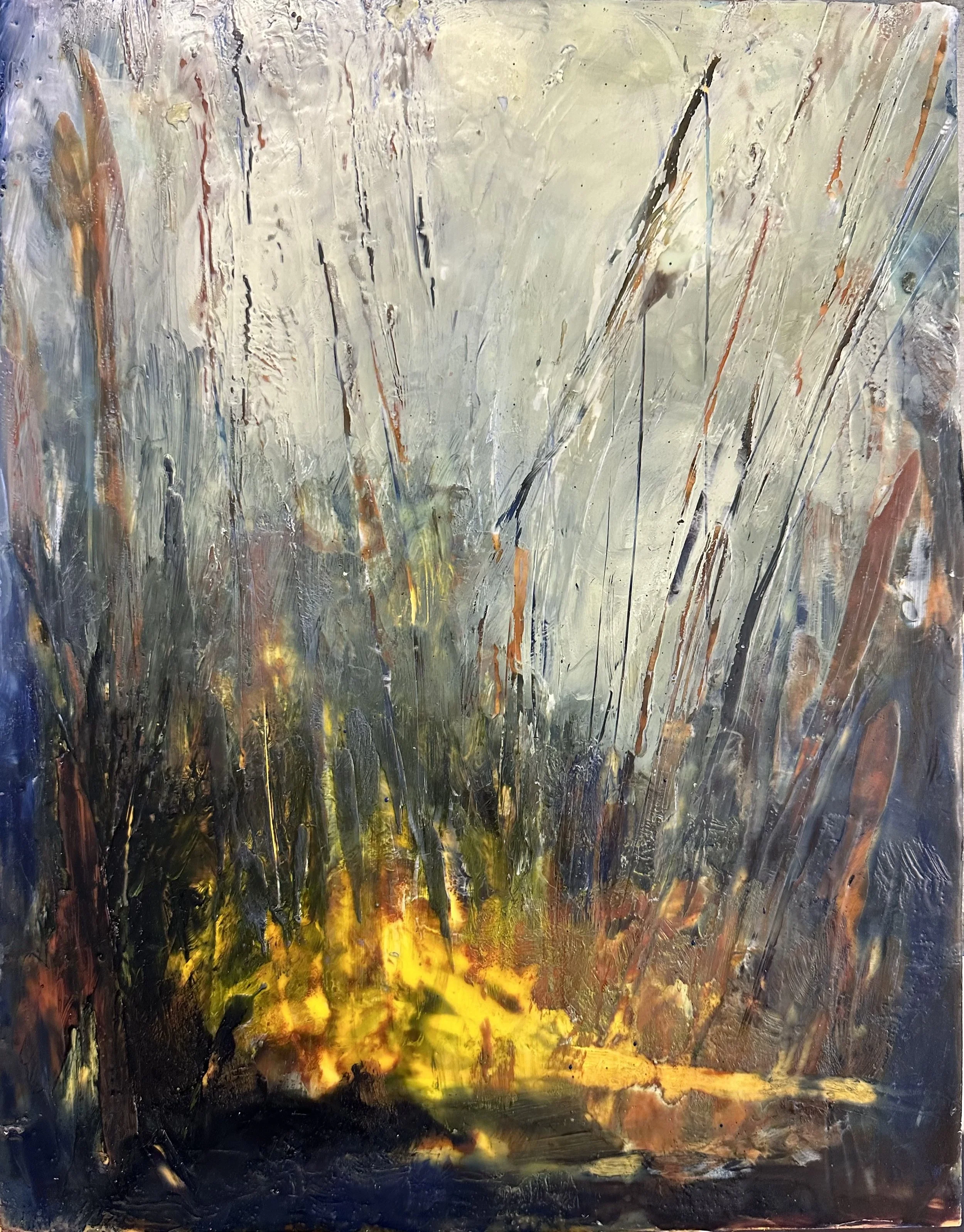 Pam Gainor, Some Warmth in a Cold Day.jpeg