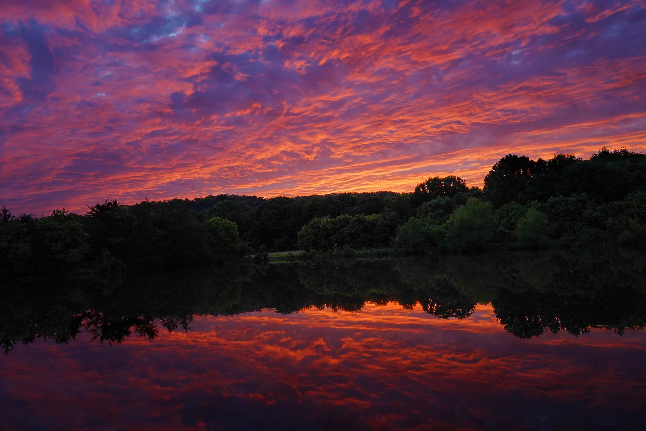 Sara Schaefer, Mirror Mirror on the Lake .jpeg