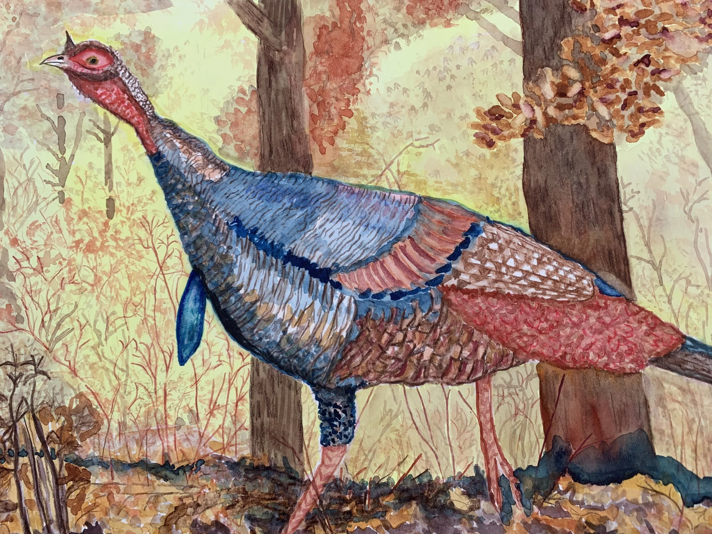 WinMem Mary Redders, Tom Gobbler.jpeg